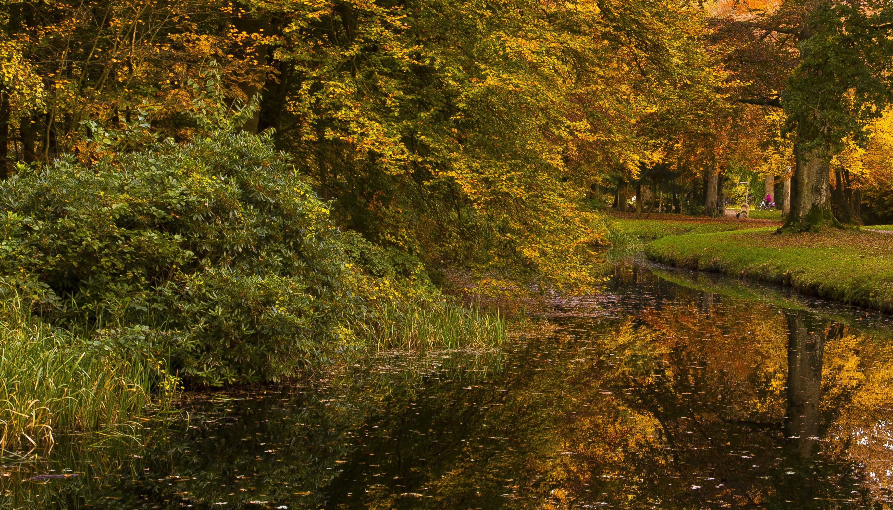 Autumn park with a river in Baarn, Netherlands HD Wallpaper