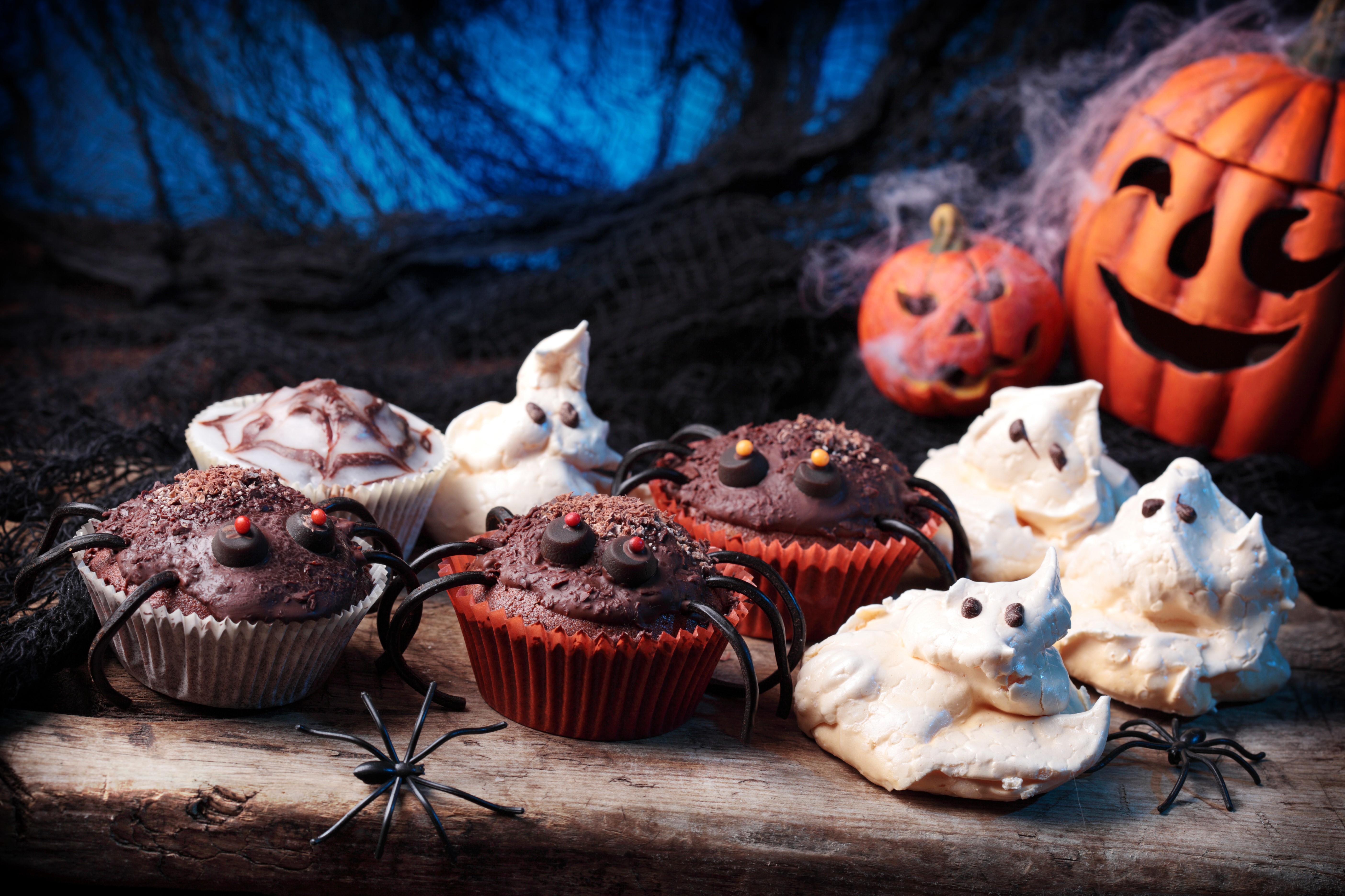 Halloween cupcakes with spiders and pumpkins HD Wallpaper