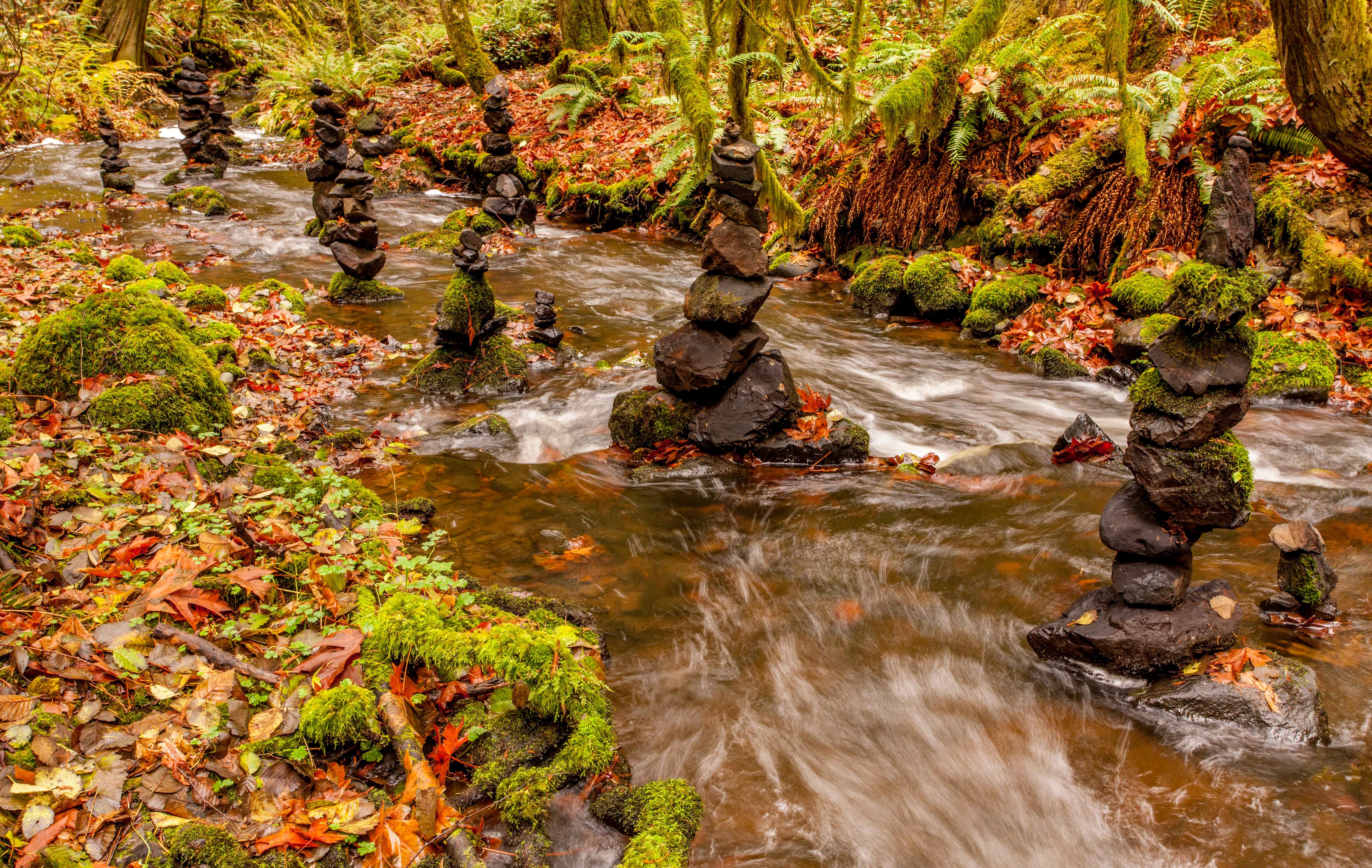 4K Autumn Foliage at Tod Creek Waterfalls HD Wallpaper