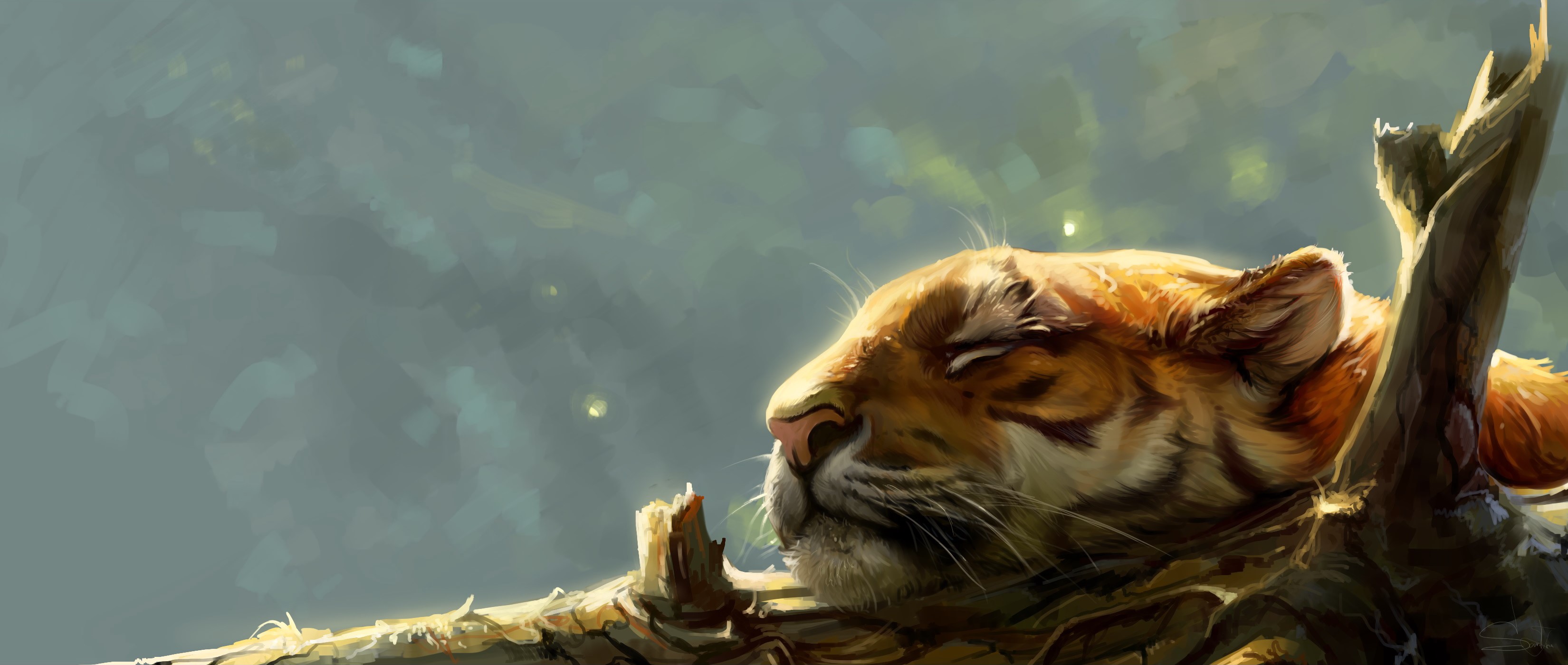 Tiger sleeping on a tree branch HD Wallpaper