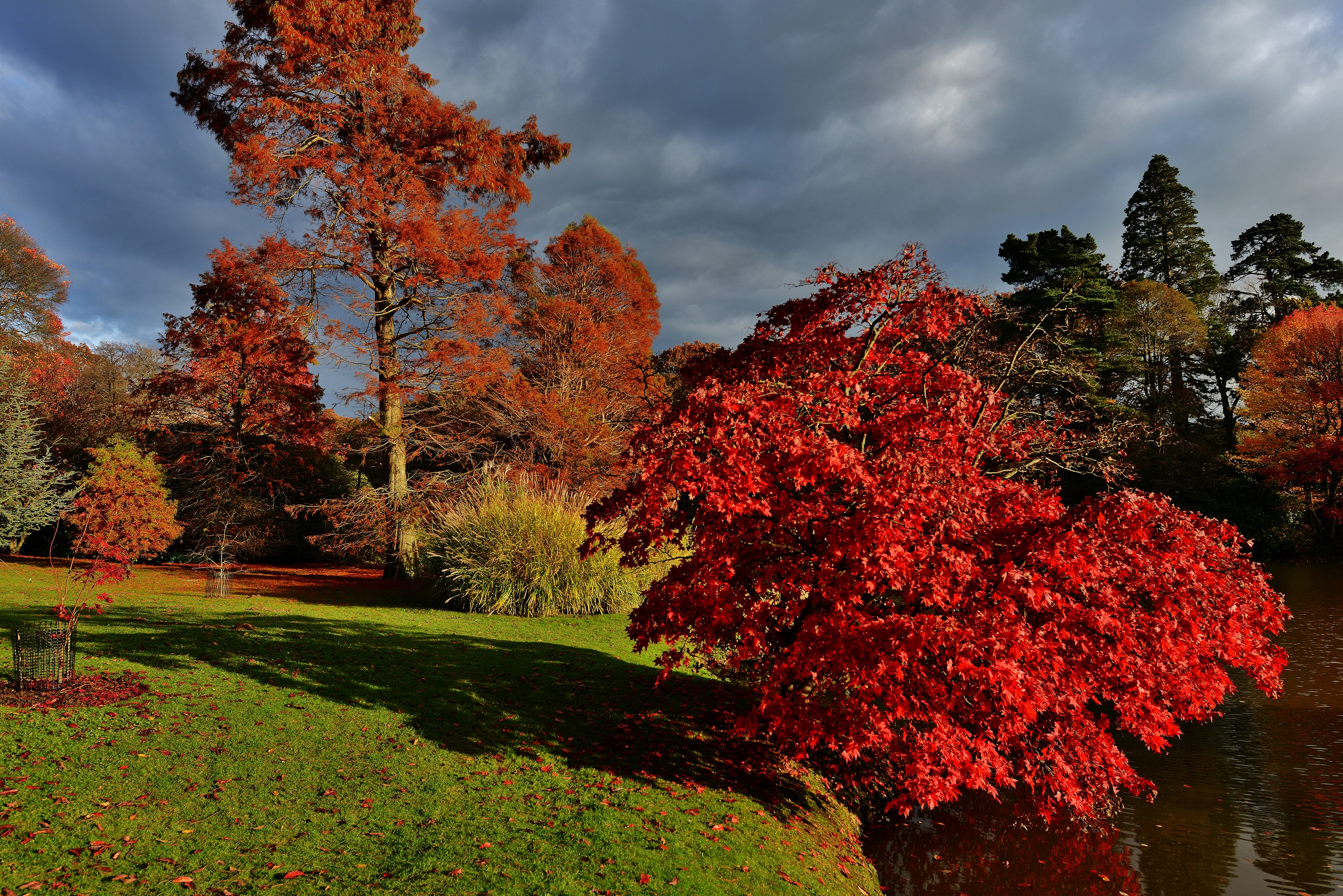 Autumn at Sheffield Park Garden, United Kingdom HD Wallpaper