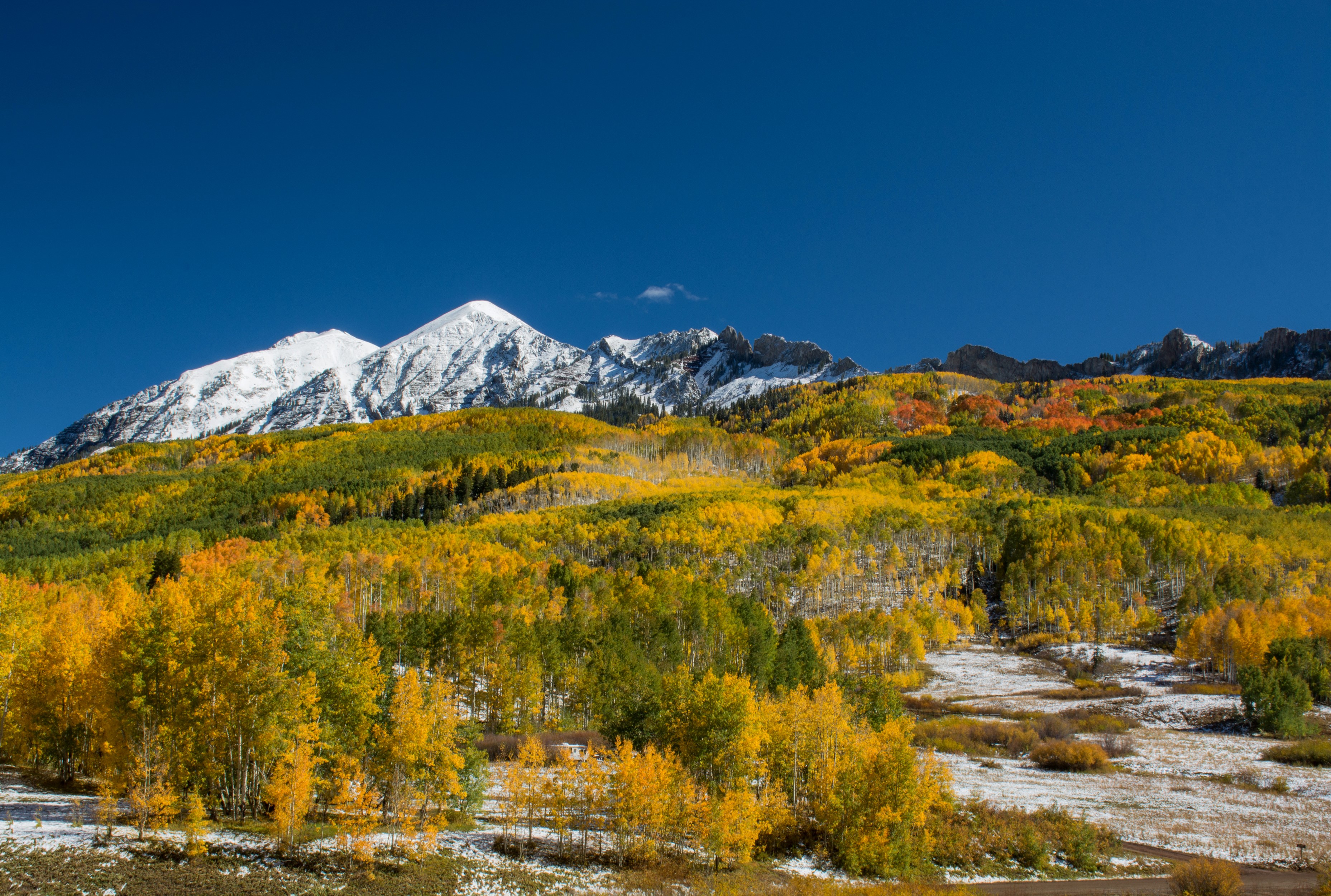 Snow-capped mountains and autumn trees HD Wallpaper