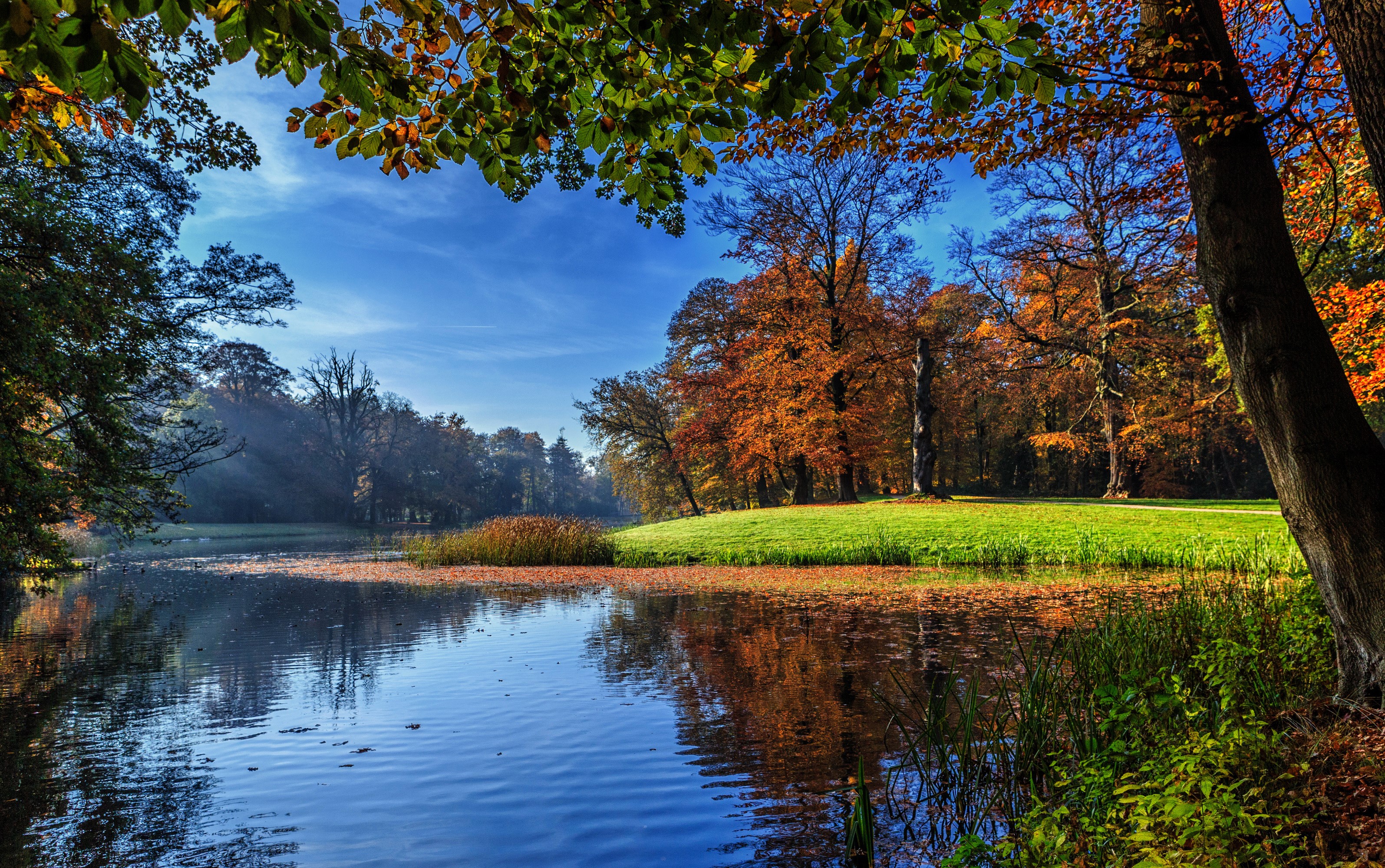 Autumn lake scenery in Darthuizen, Netherlands HD Wallpaper