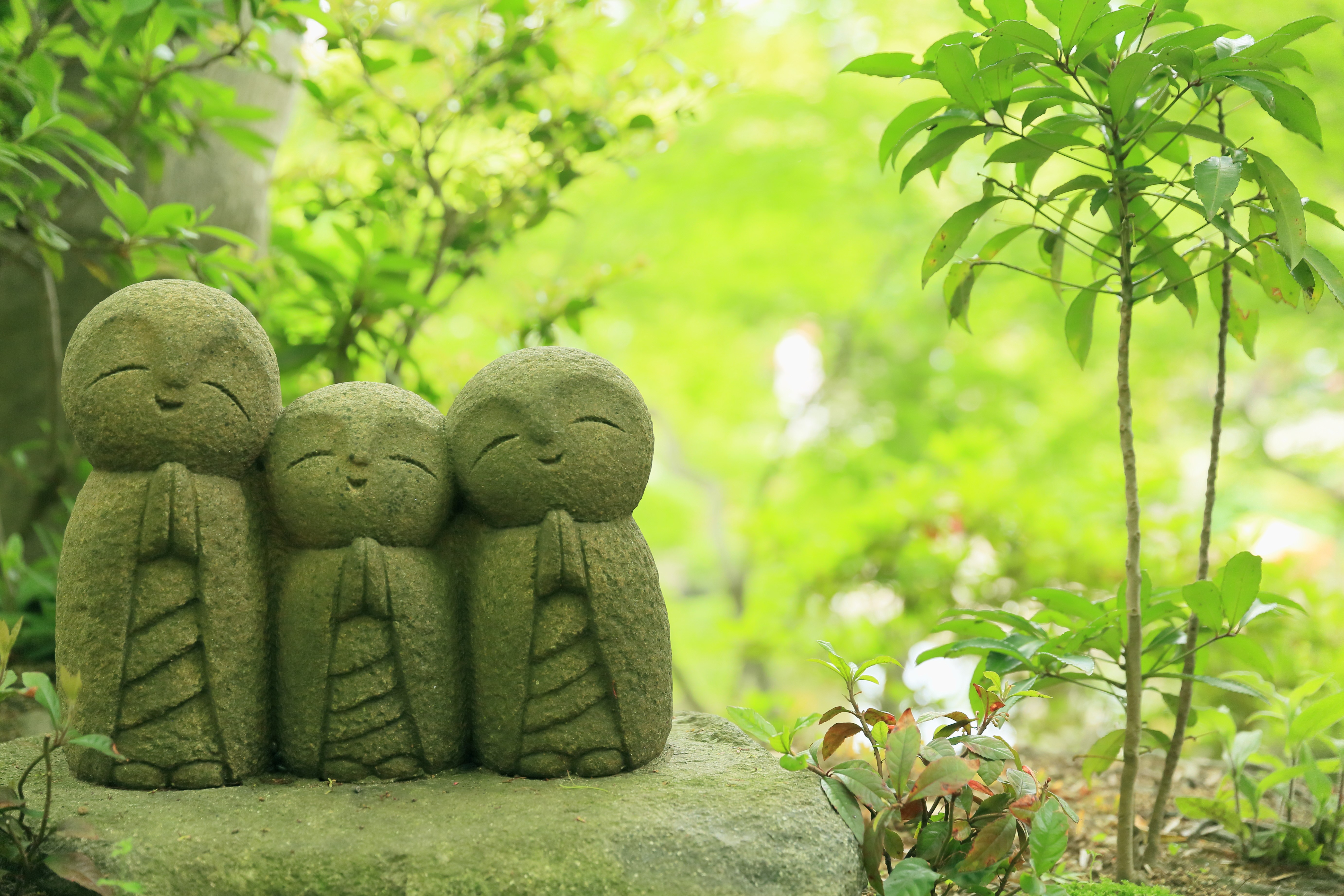 Jizo statues at Hase-dera Temple, Kamakura, Japan HD Wallpaper