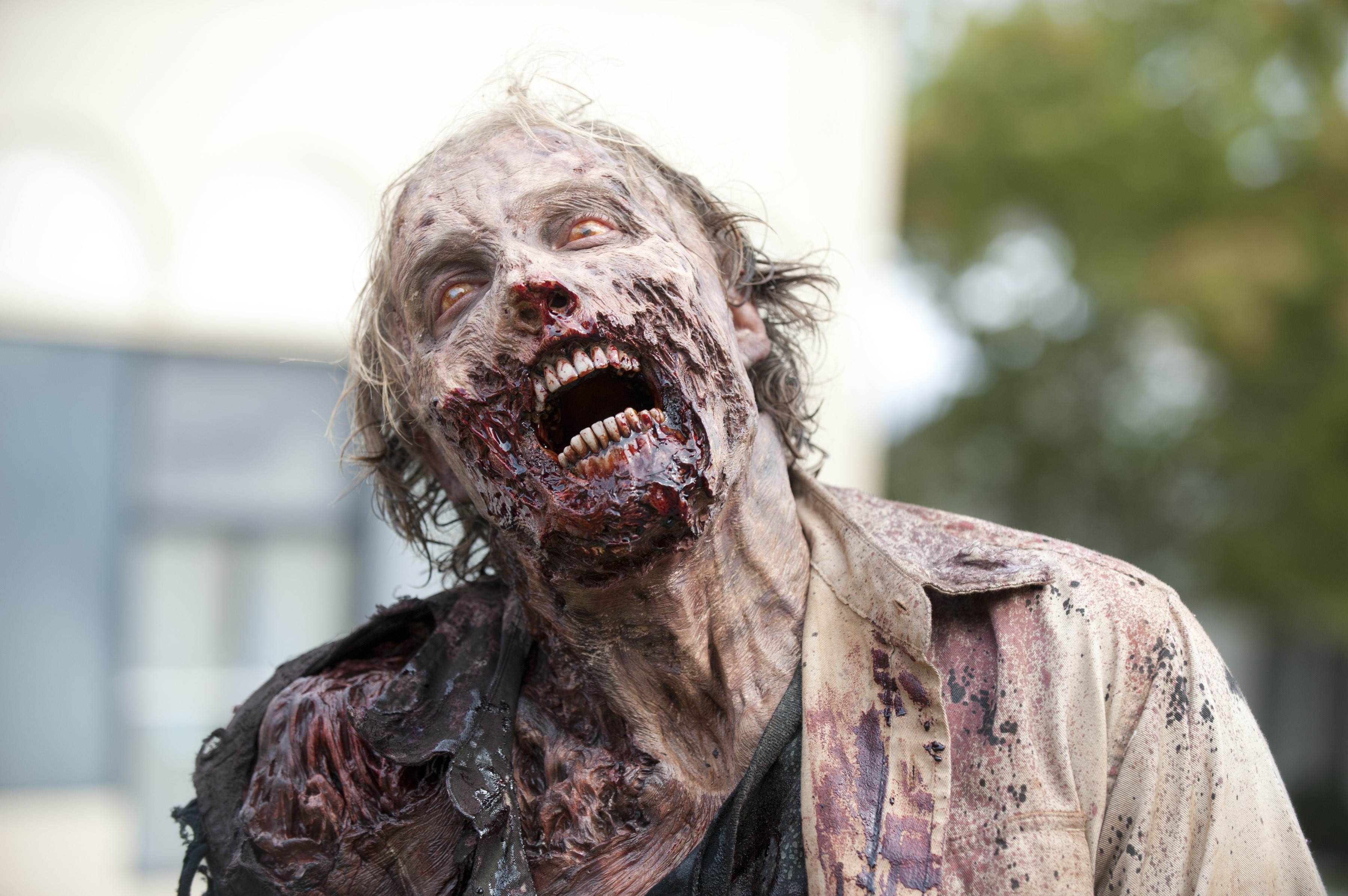 Zombie from The Walking Dead TV HD Wallpaper