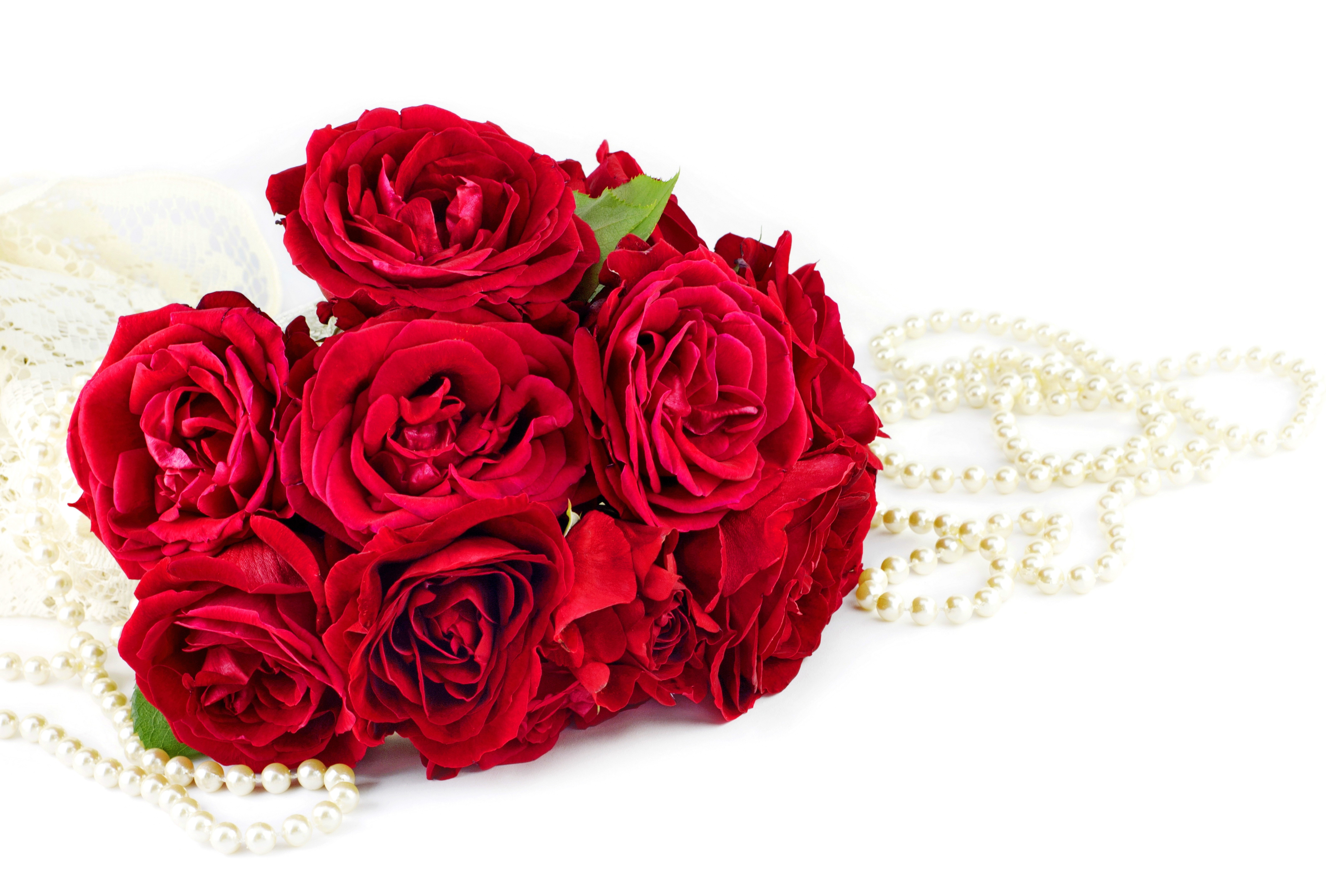 Red Roses with Pearls and Lace HD Wallpaper