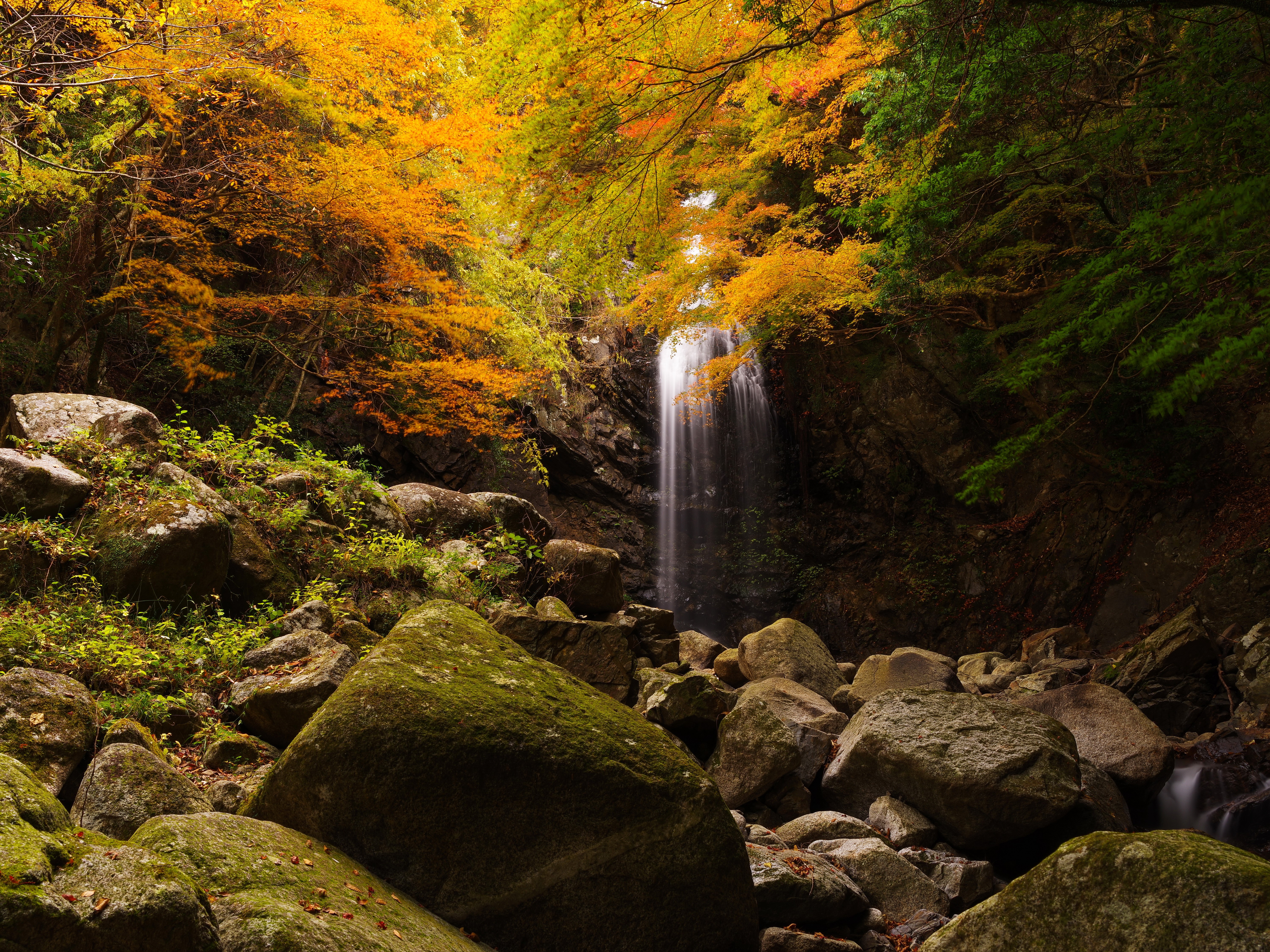 Autumn Waterfall with Rocks and Trees HD Wallpaper