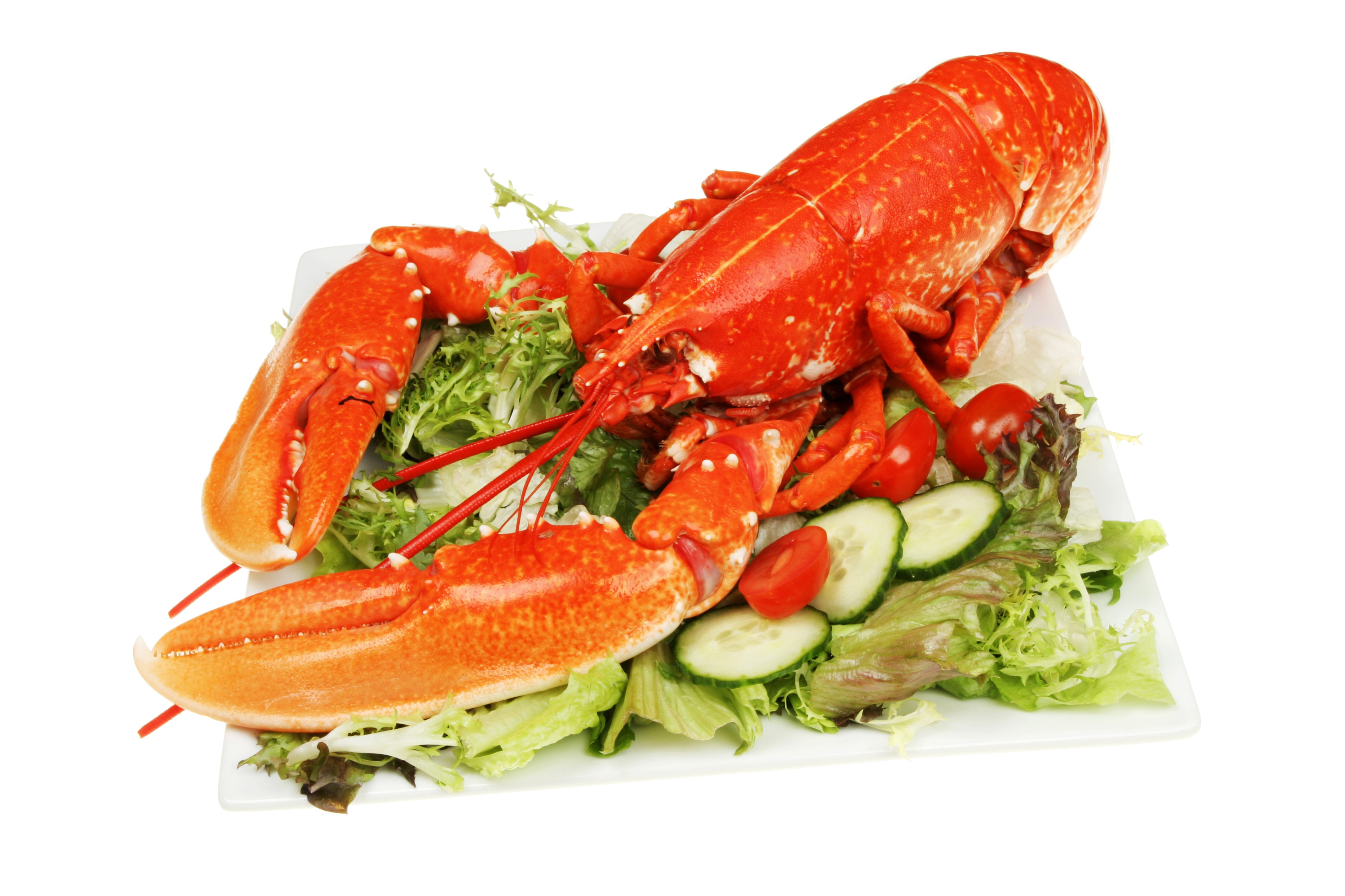 4K Lobster Salad with Vegetables HD Wallpaper