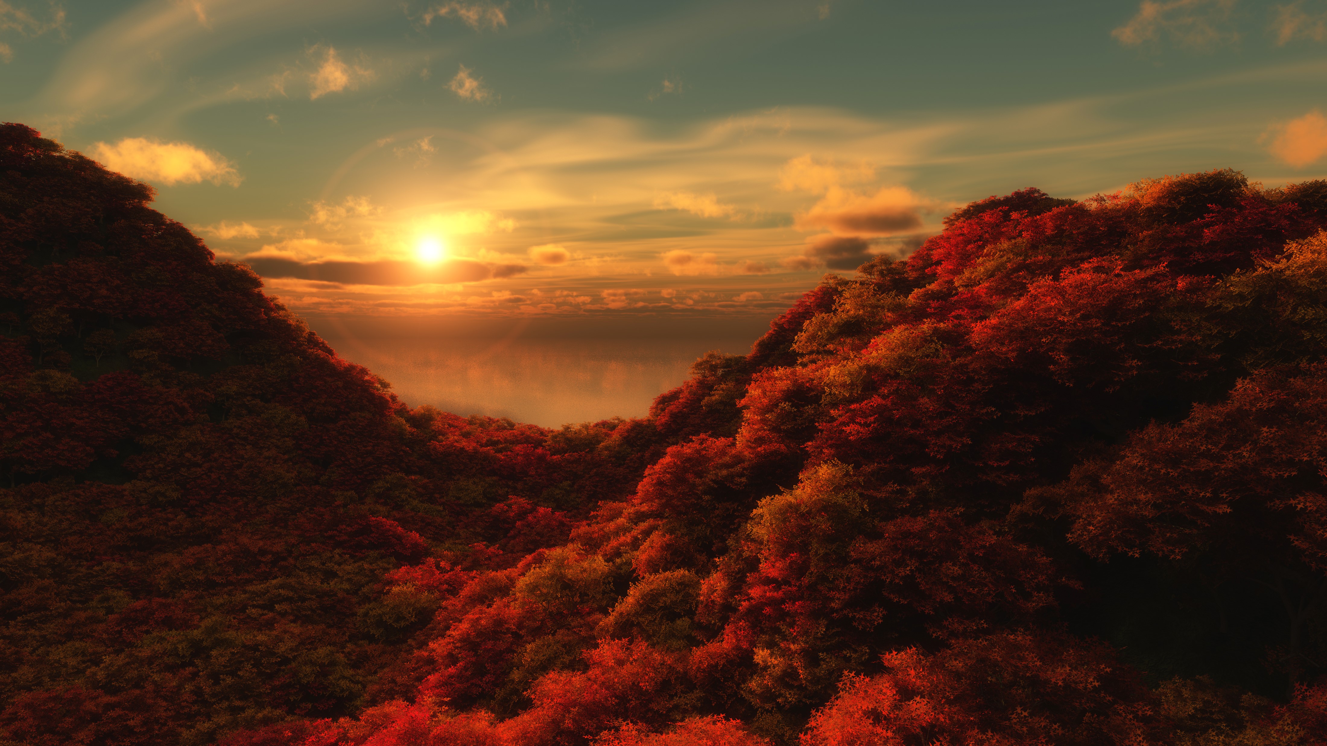 Autumn forest at sunset HD Wallpaper