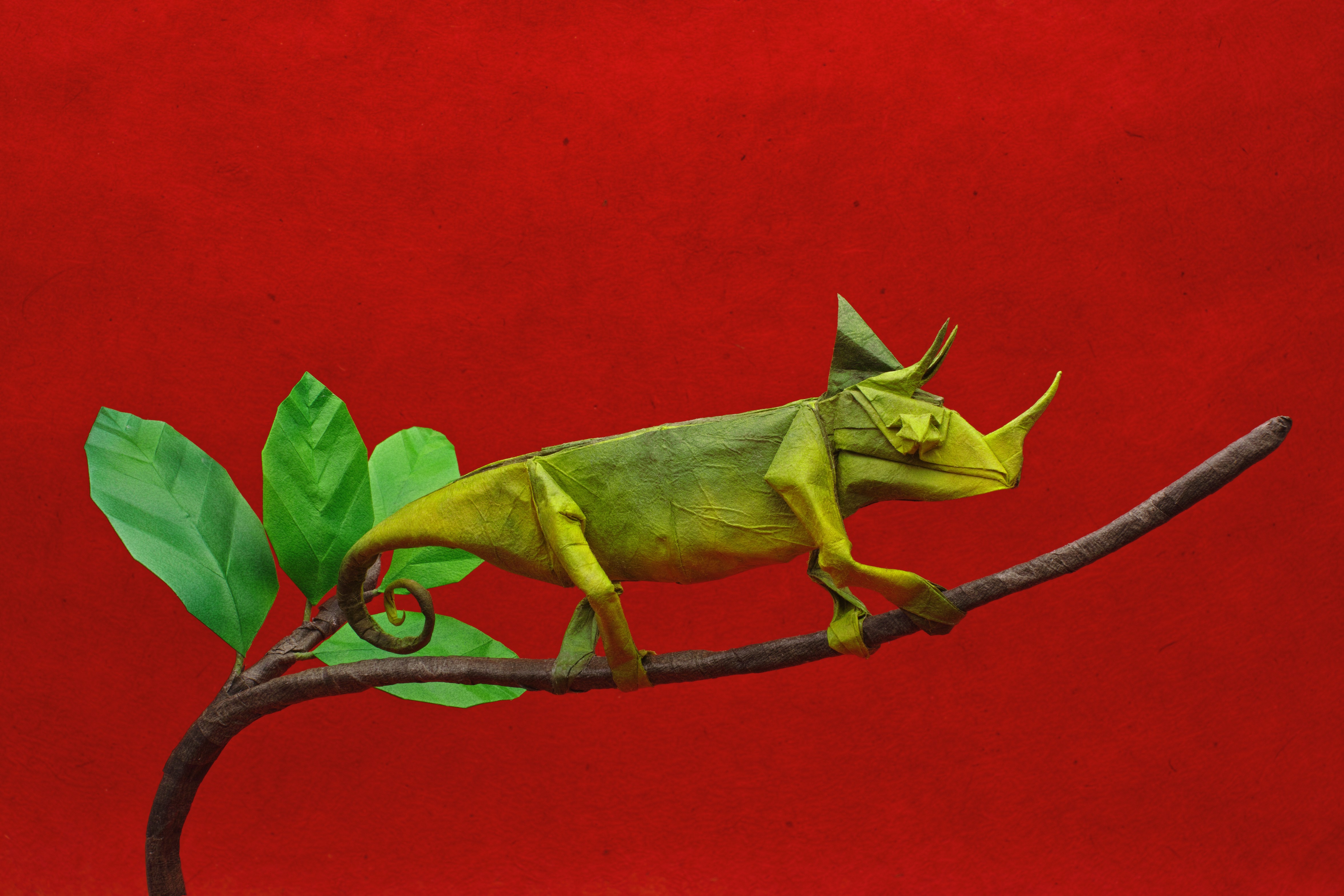 Origami Chameleon on a Branch with Leaves HD Wallpaper