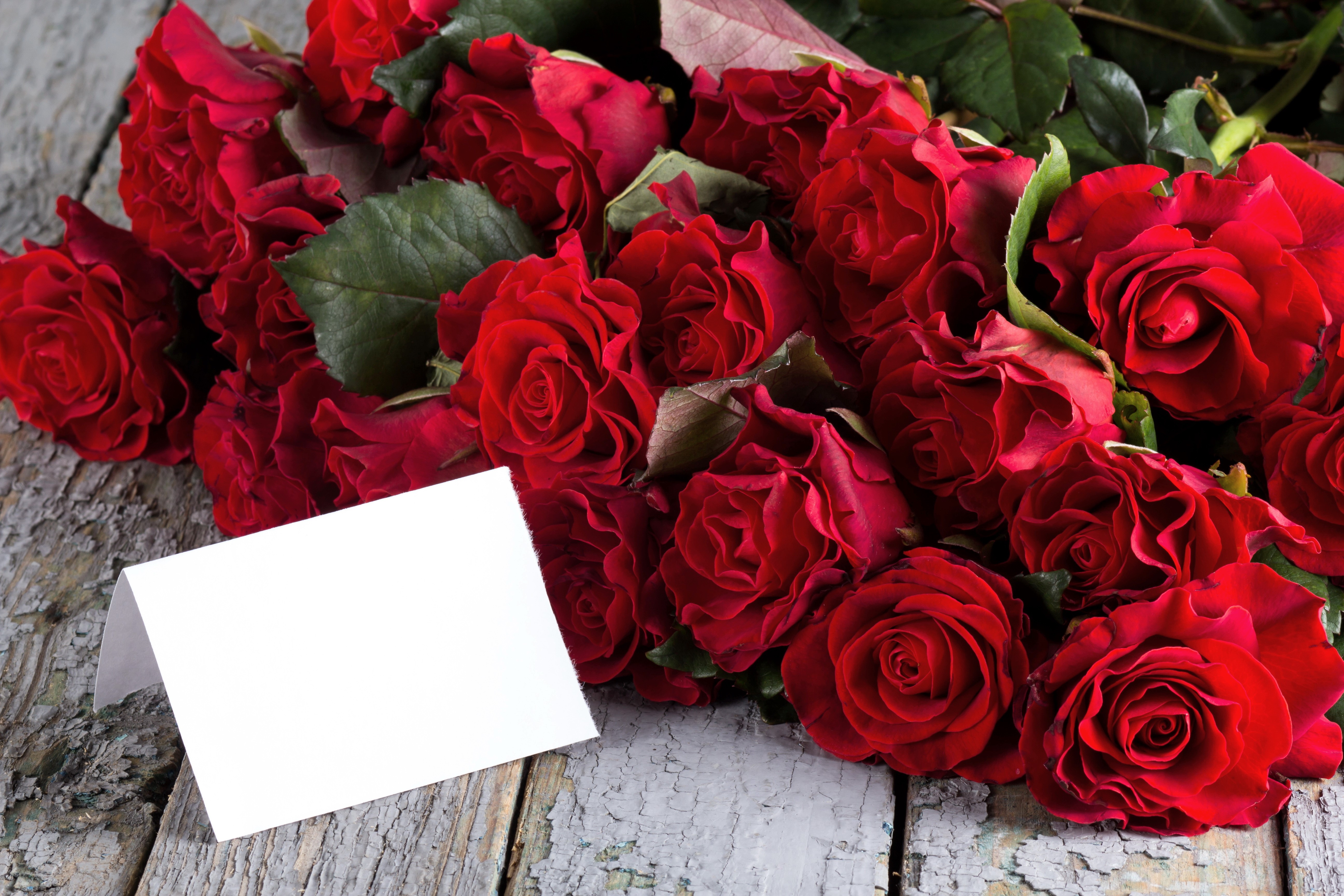 Red Roses with Greeting Card HD Wallpaper