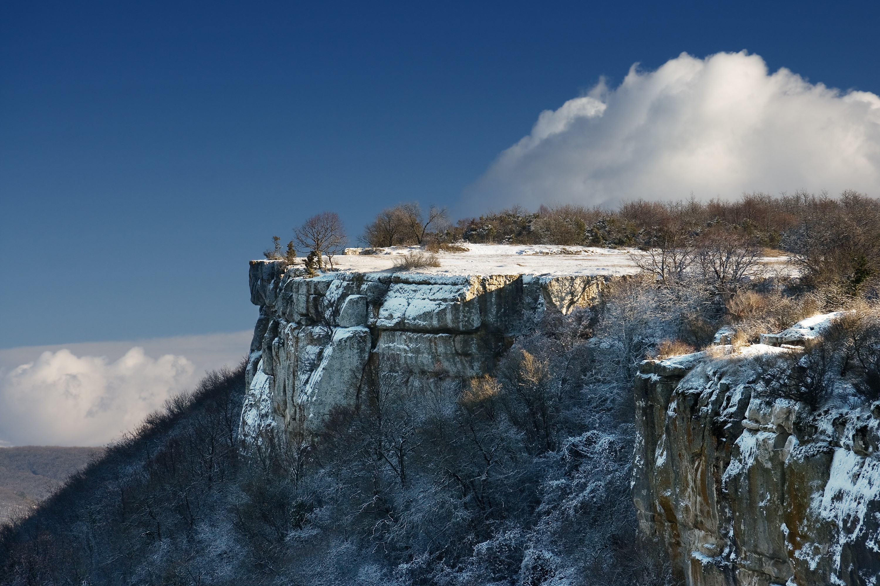 Snow-covered cliffs and trees under a blue sky HD Wallpaper