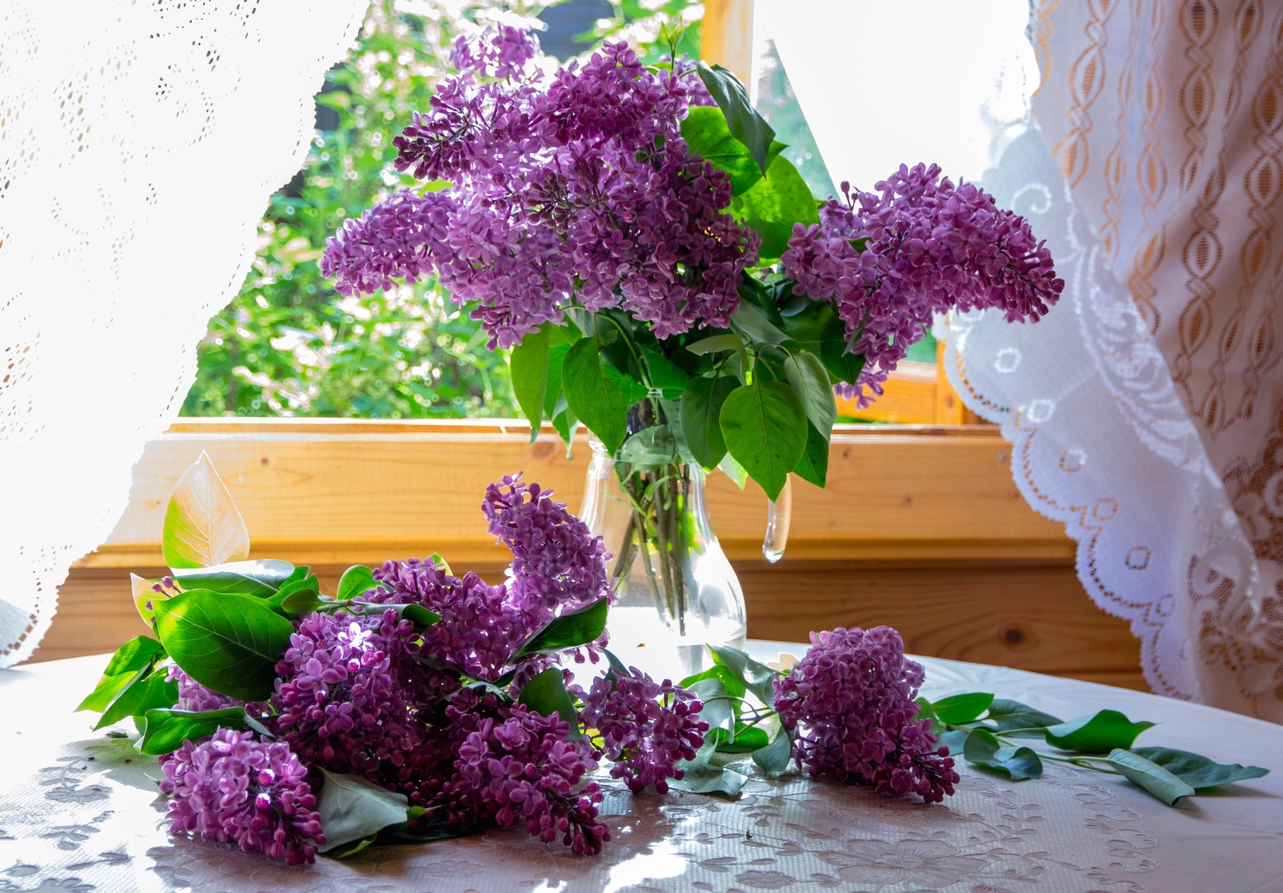 Bouquet of Lilacs in a Vase by the Window HD Wallpaper