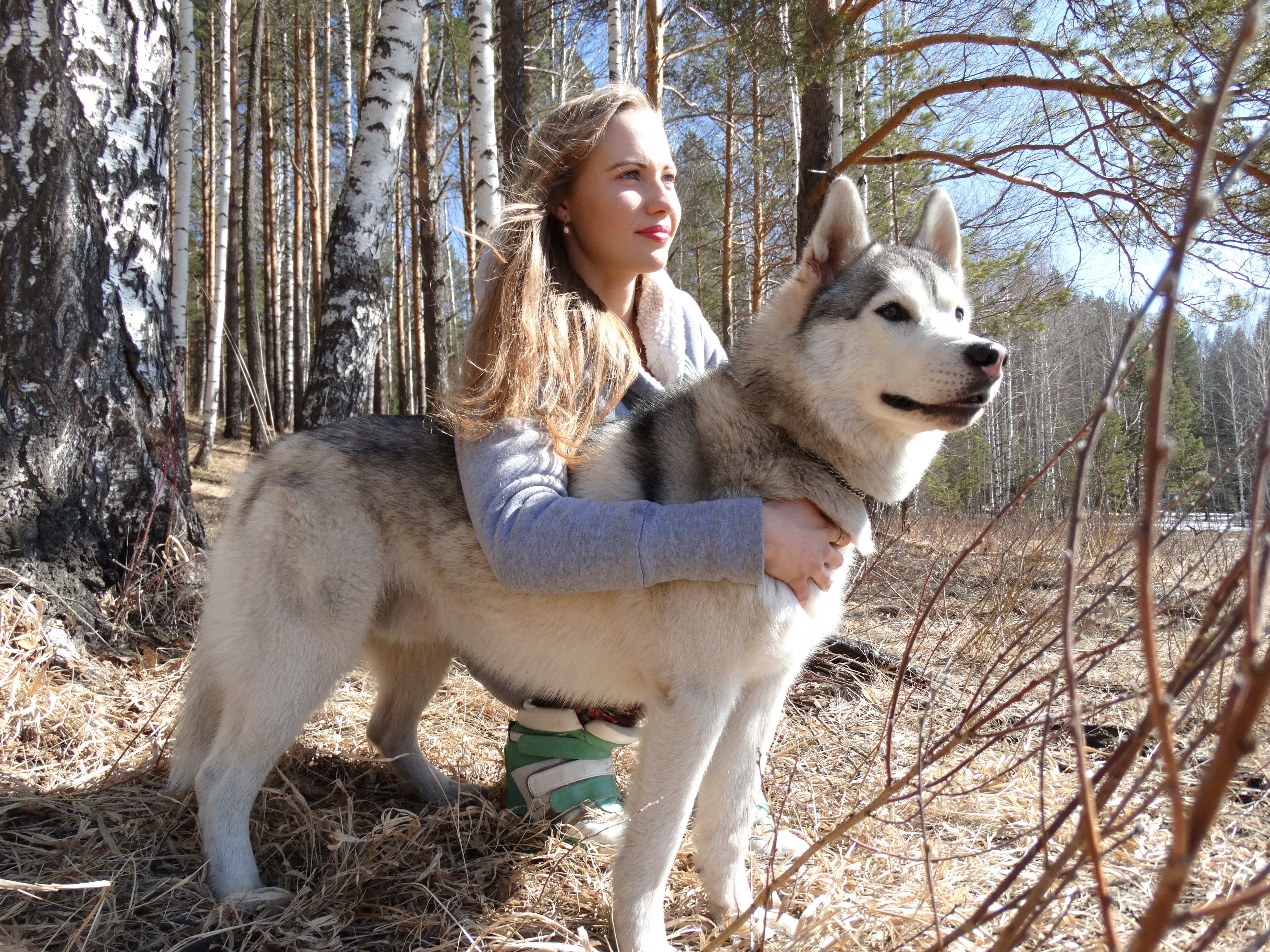 Girl with Husky dog in forest HD Wallpaper