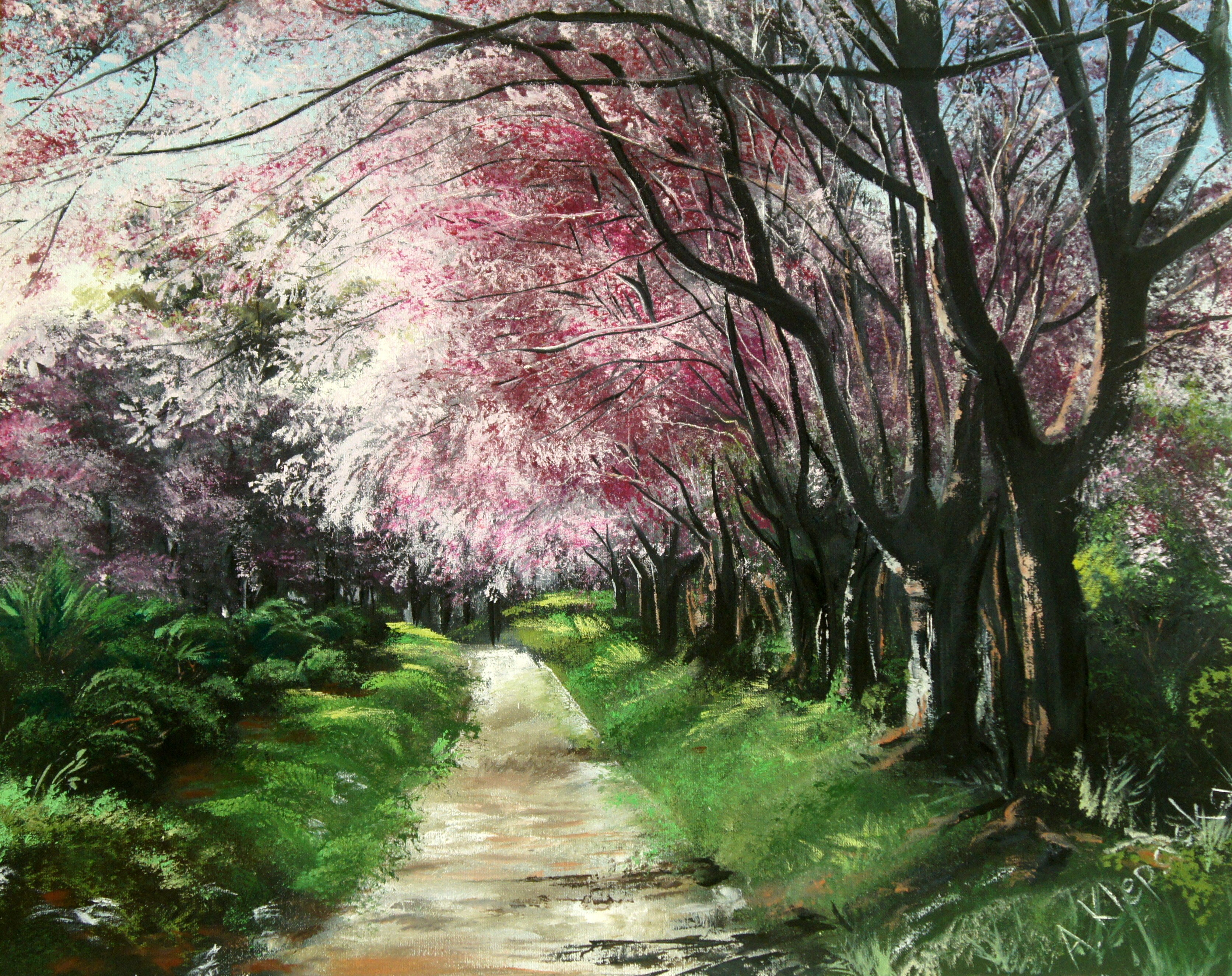 Painting of a blooming cherry blossom tree-lined path HD Wallpaper
