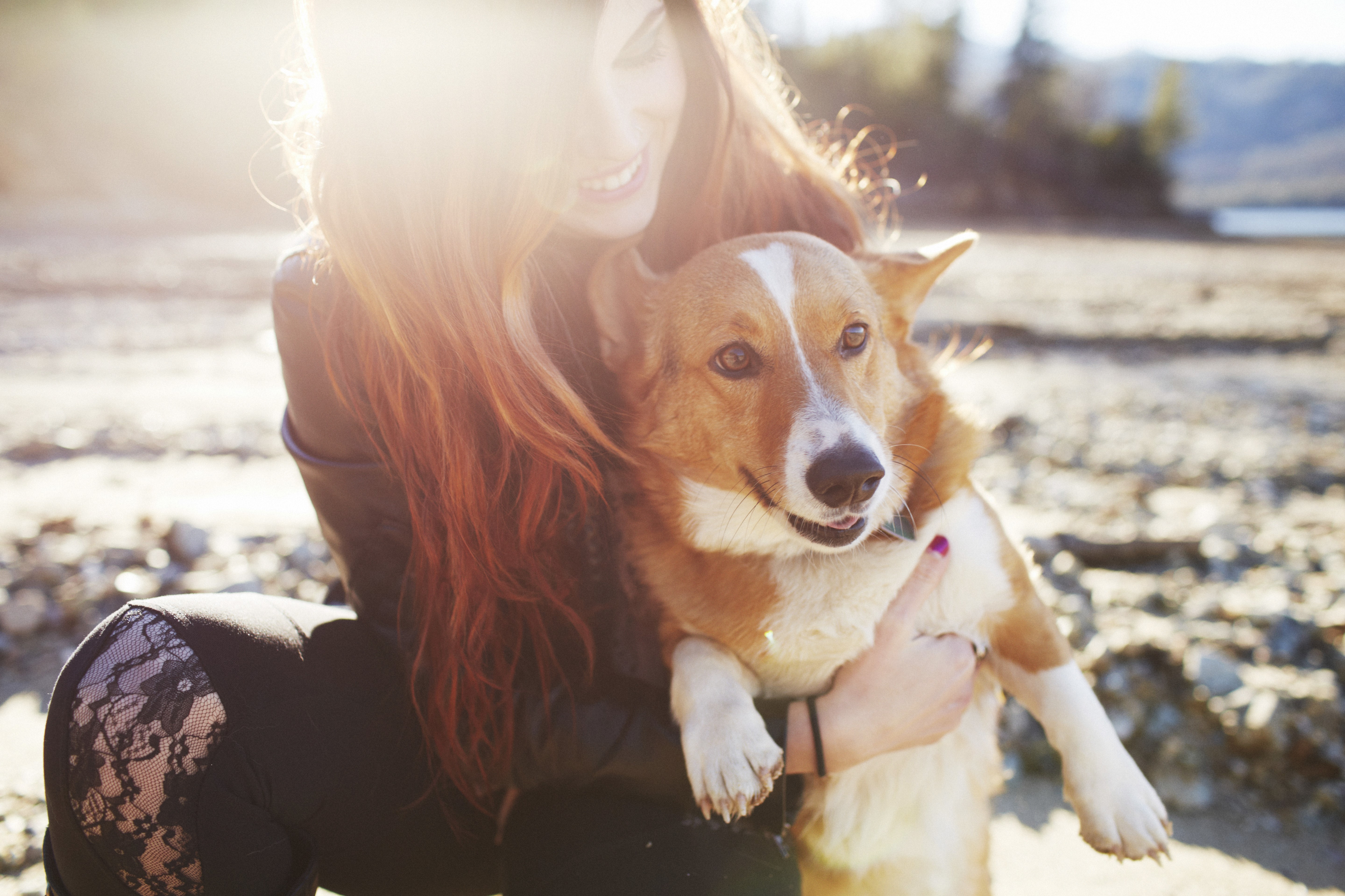 Woman hugging a Corgi dog HD Wallpaper