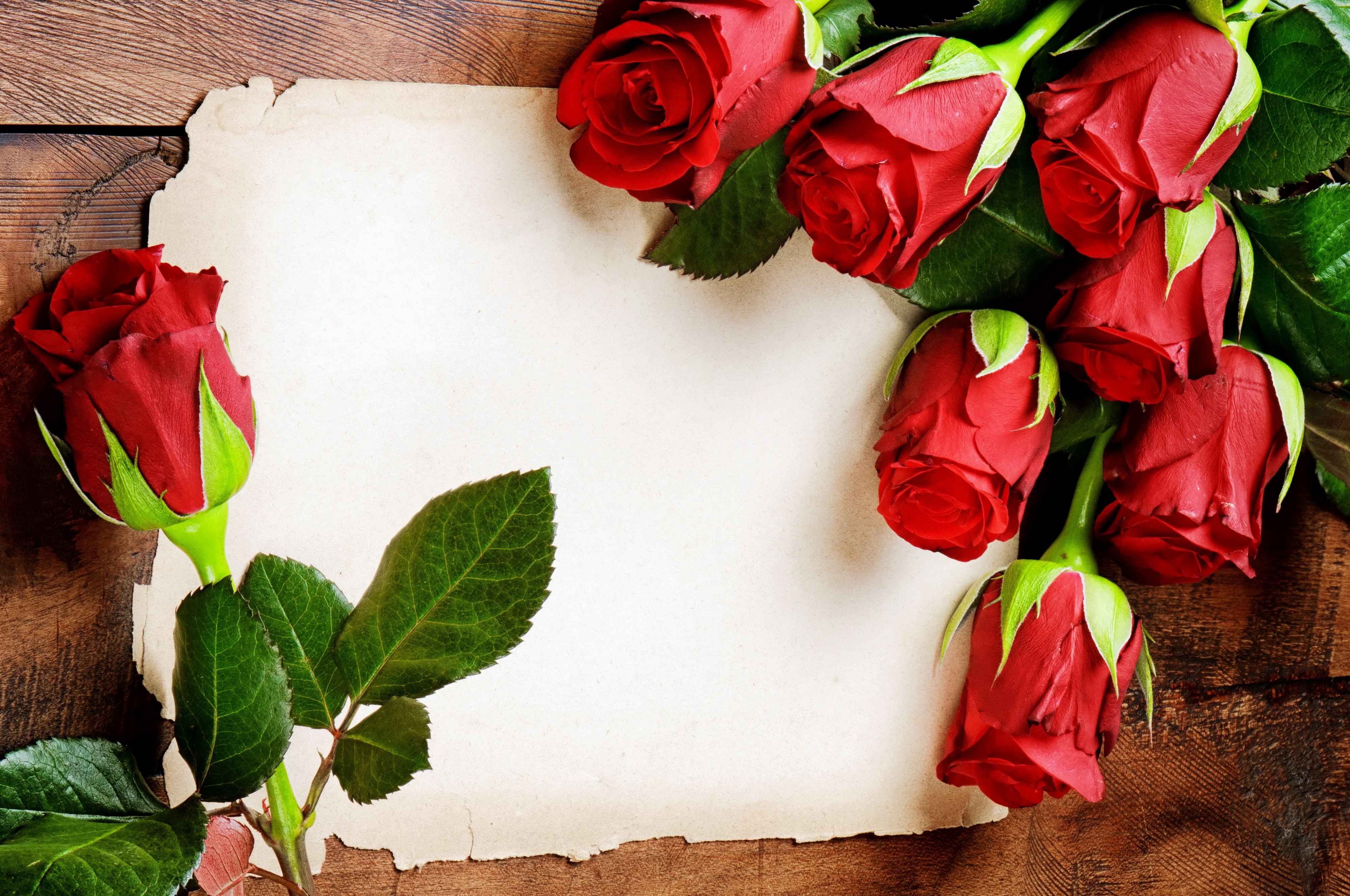 Red Roses and Blank Paper on Wood HD Wallpaper