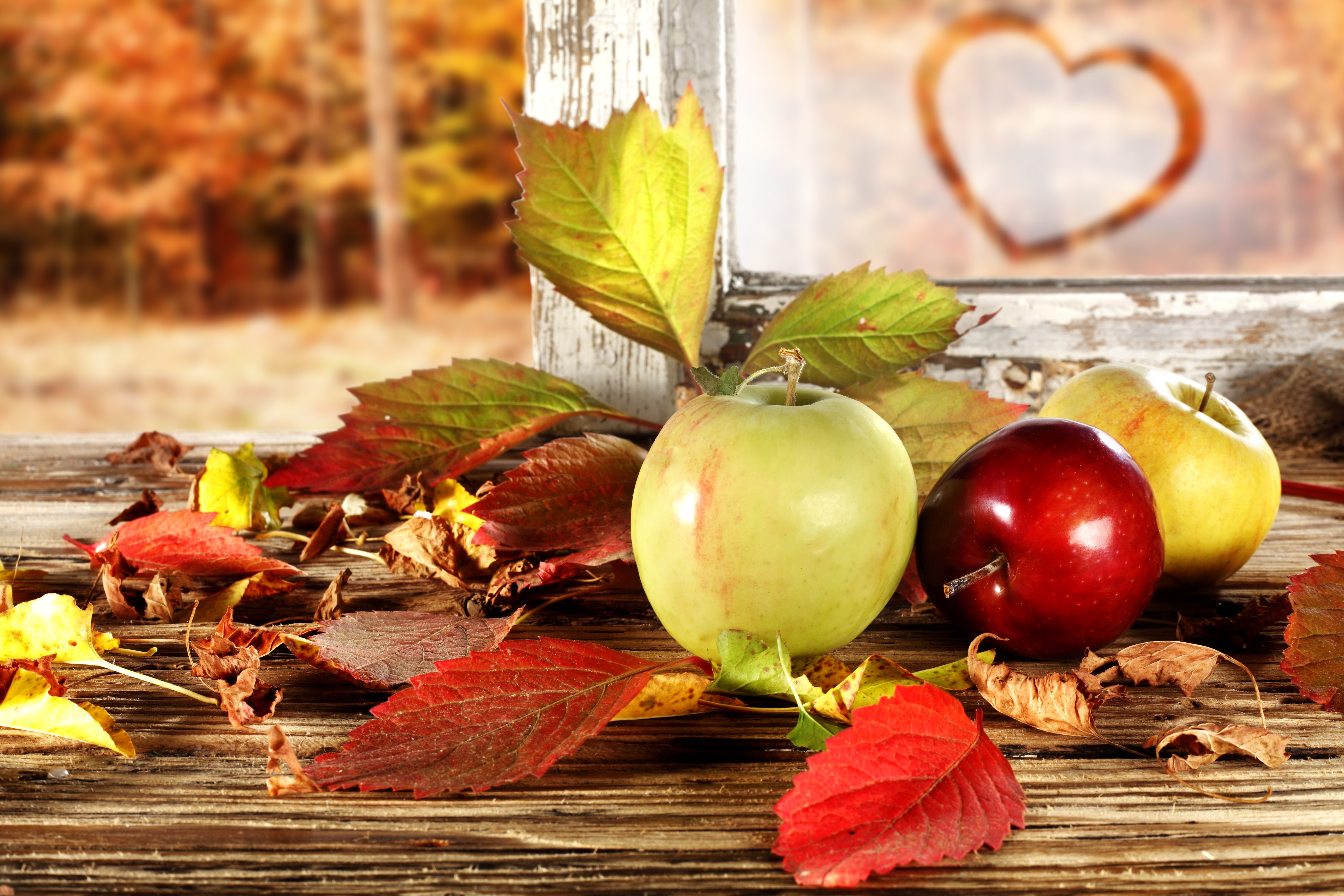 Apples and Autumn Leaves by a Window HD Wallpaper