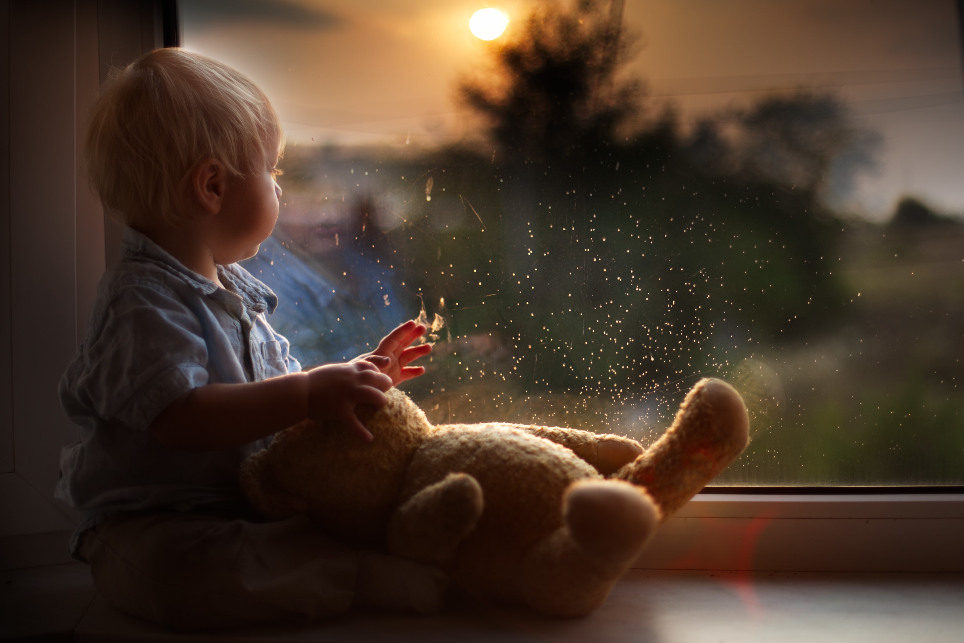 A toddler with a teddy bear looks out a window at sunset HD Wallpaper