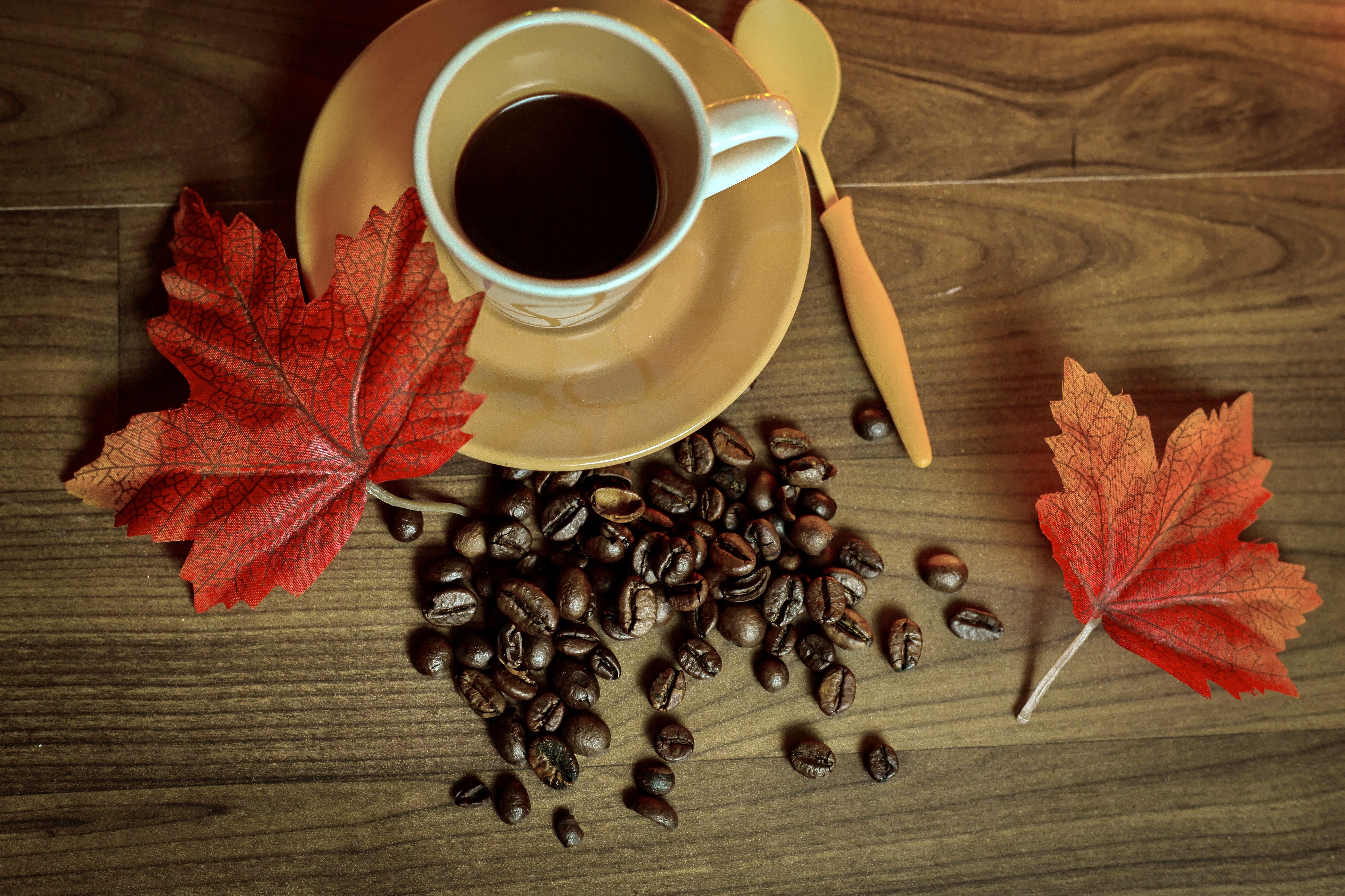 Coffee cup with beans and autumn leaves HD Wallpaper
