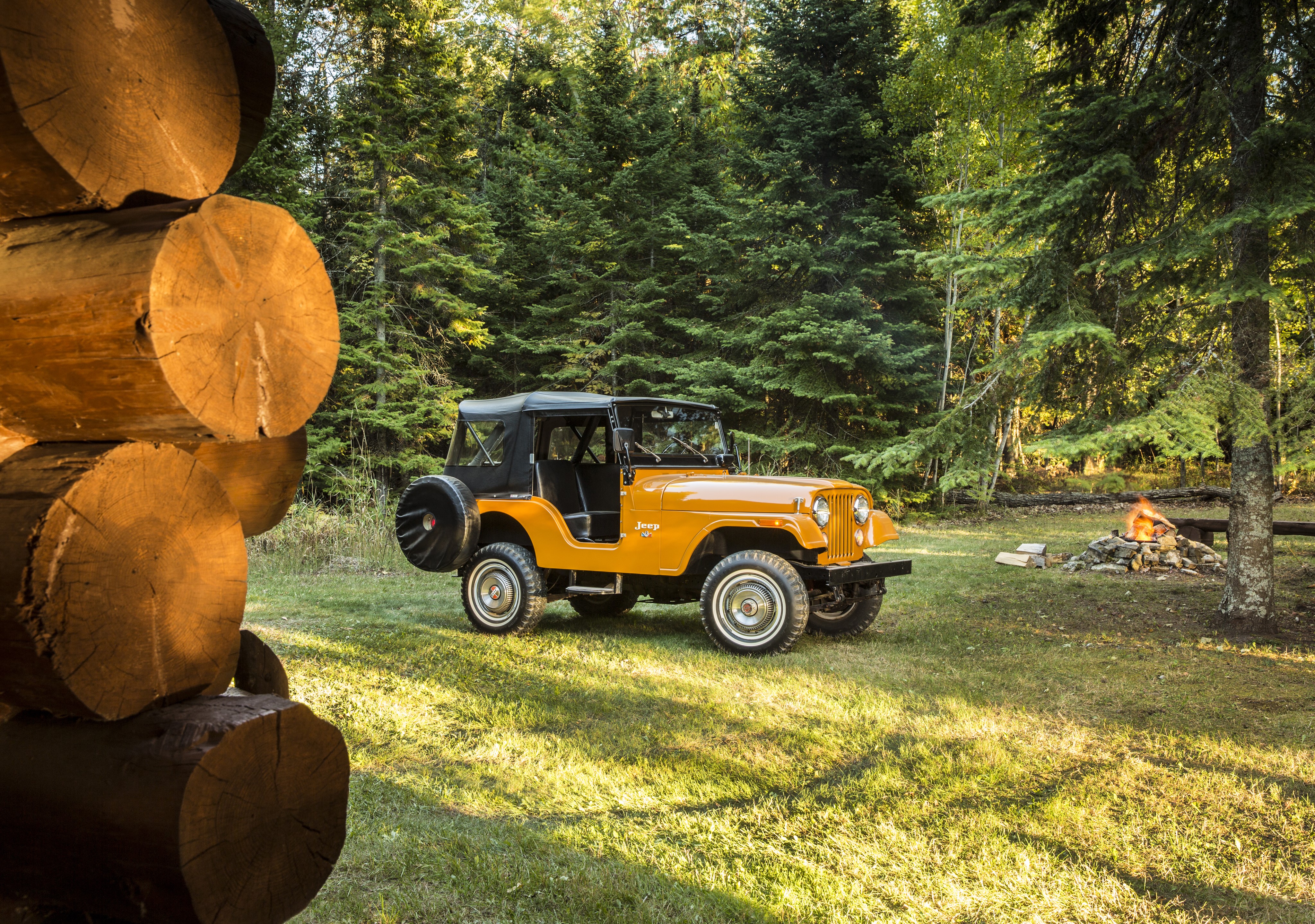 Orange Jeep CJ-5 in a forest clearing HD Wallpaper