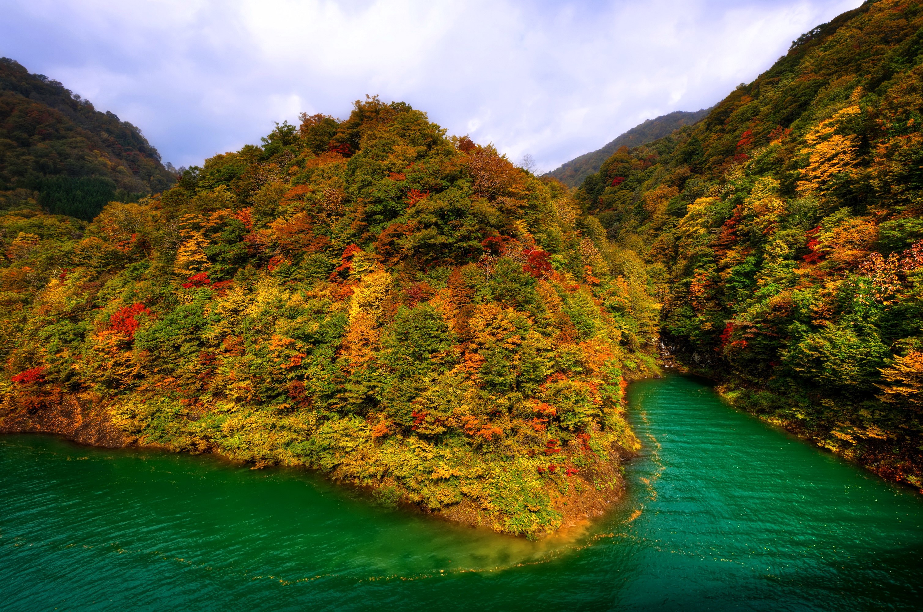 Autumn forest and lake in Japan HD Wallpaper