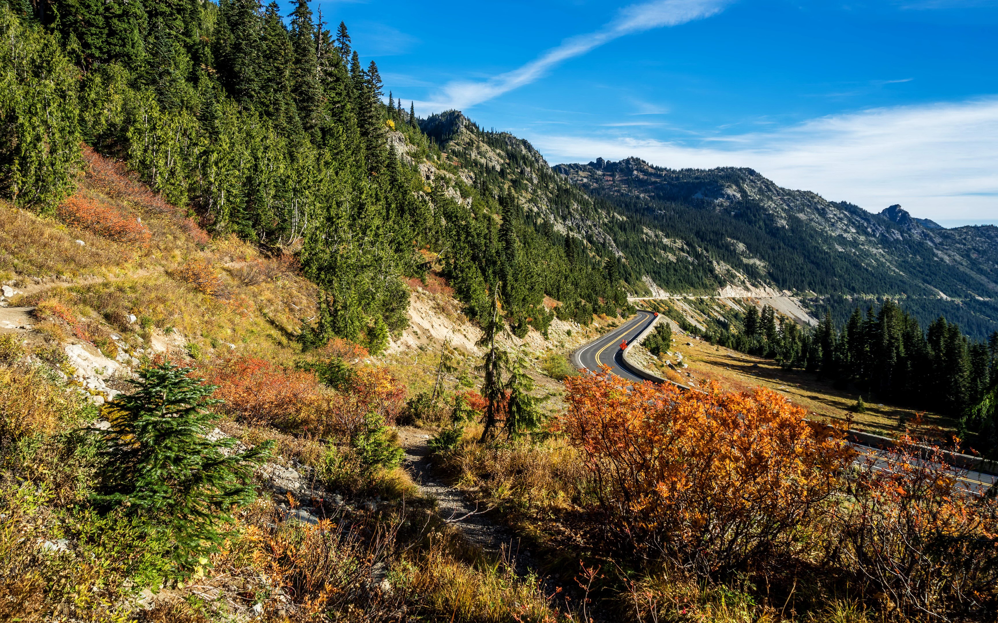 Mountain Road with Autumn Foliage and Evergreen Trees HD Wallpaper