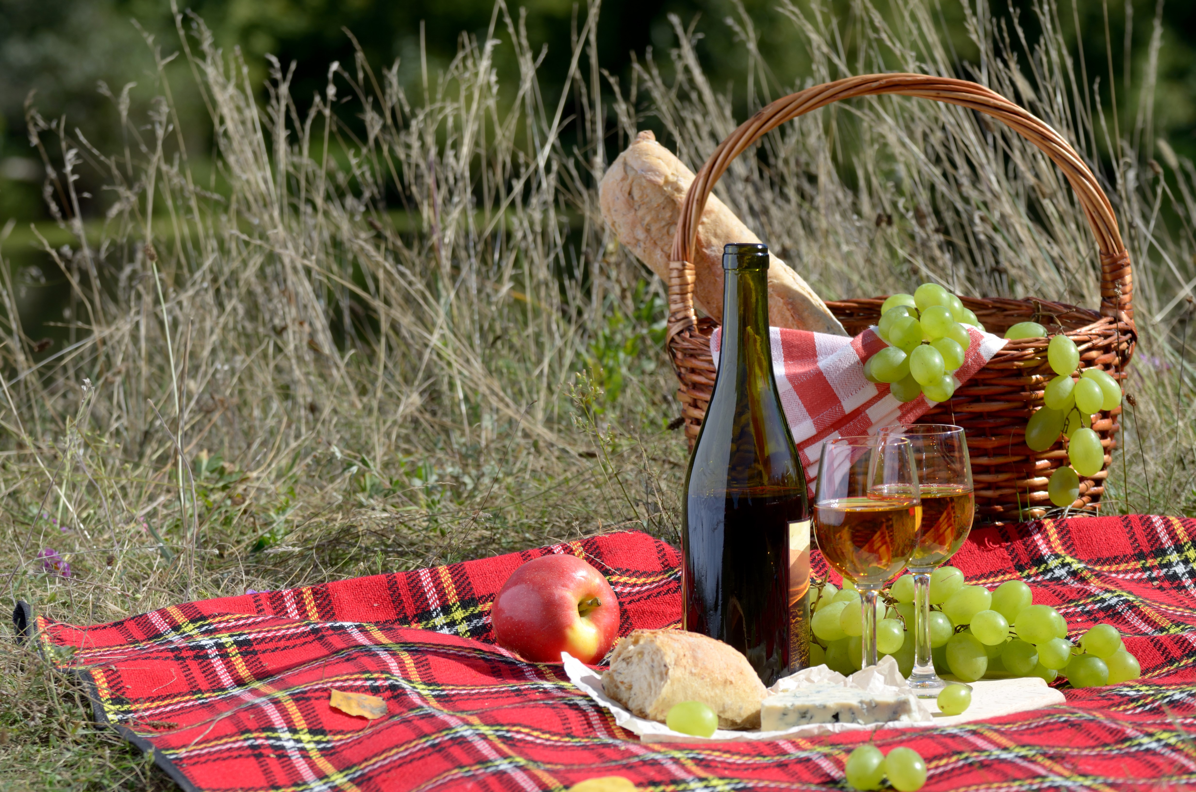 Picnic with Wine, Grapes, Bread, and Apples HD Wallpaper