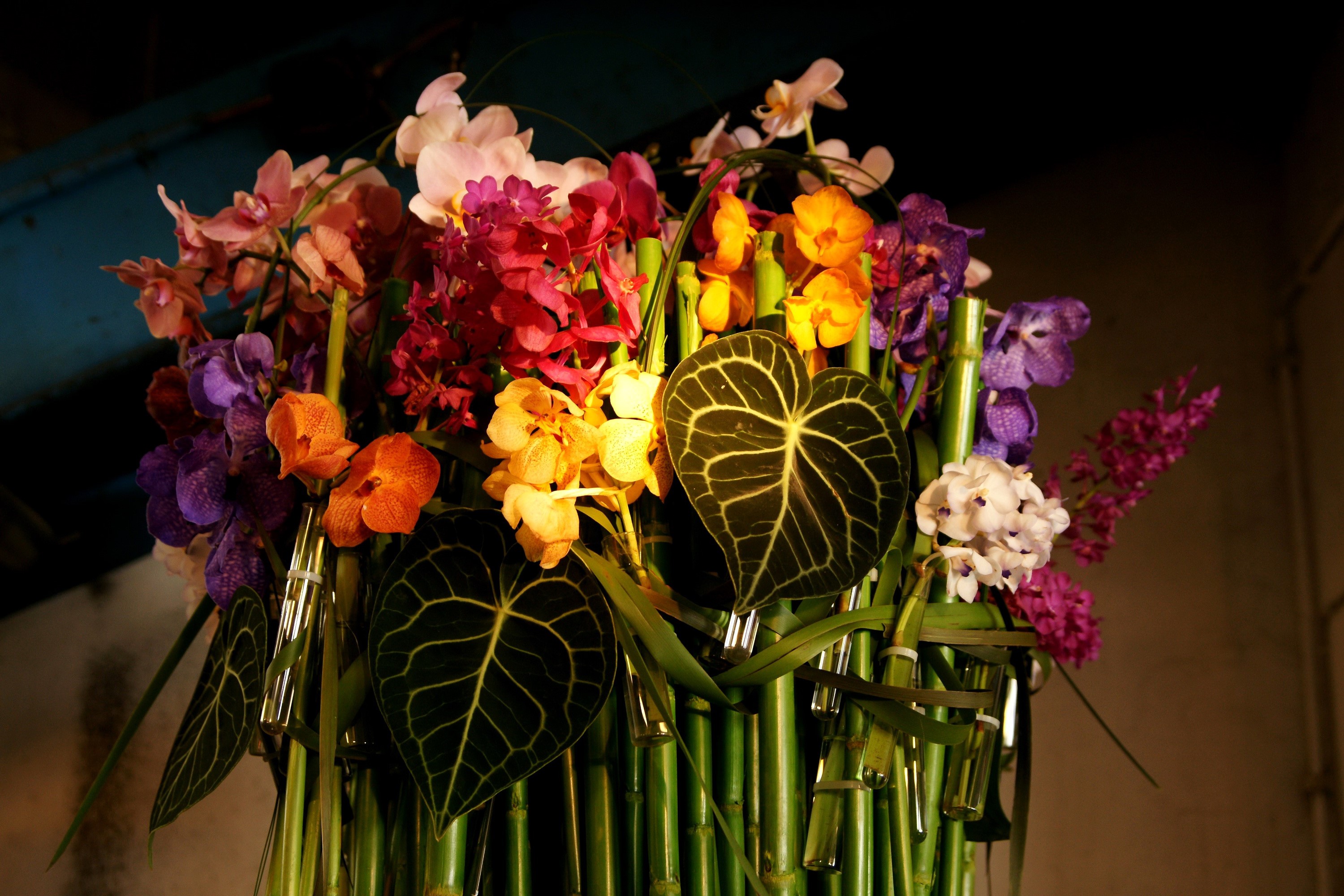 Orchid flower arrangement with bamboo HD Wallpaper