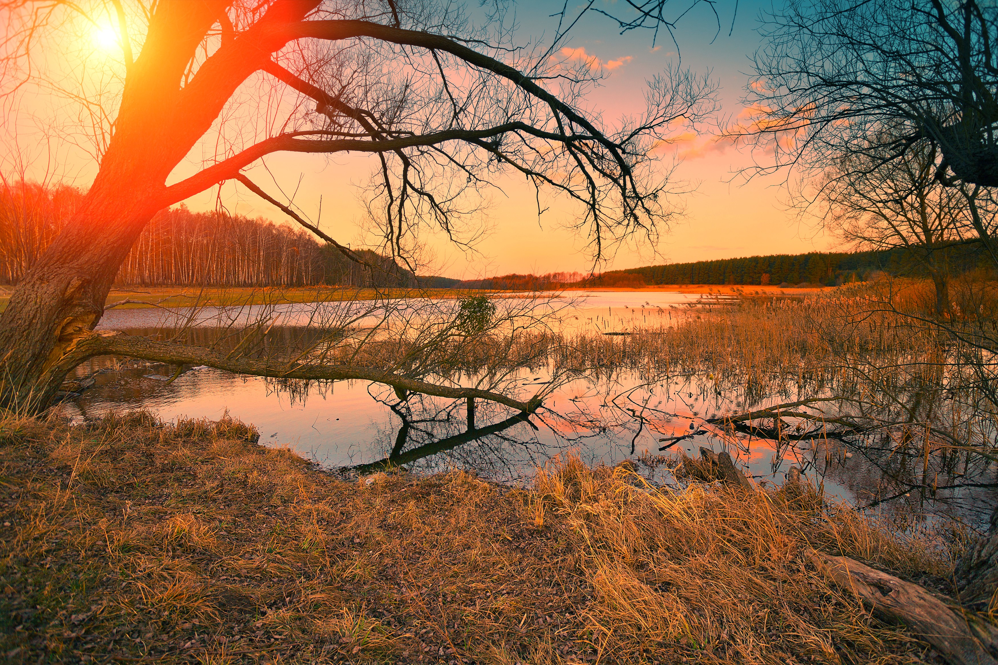 Sunset over a tranquil lake with bare trees HD Wallpaper