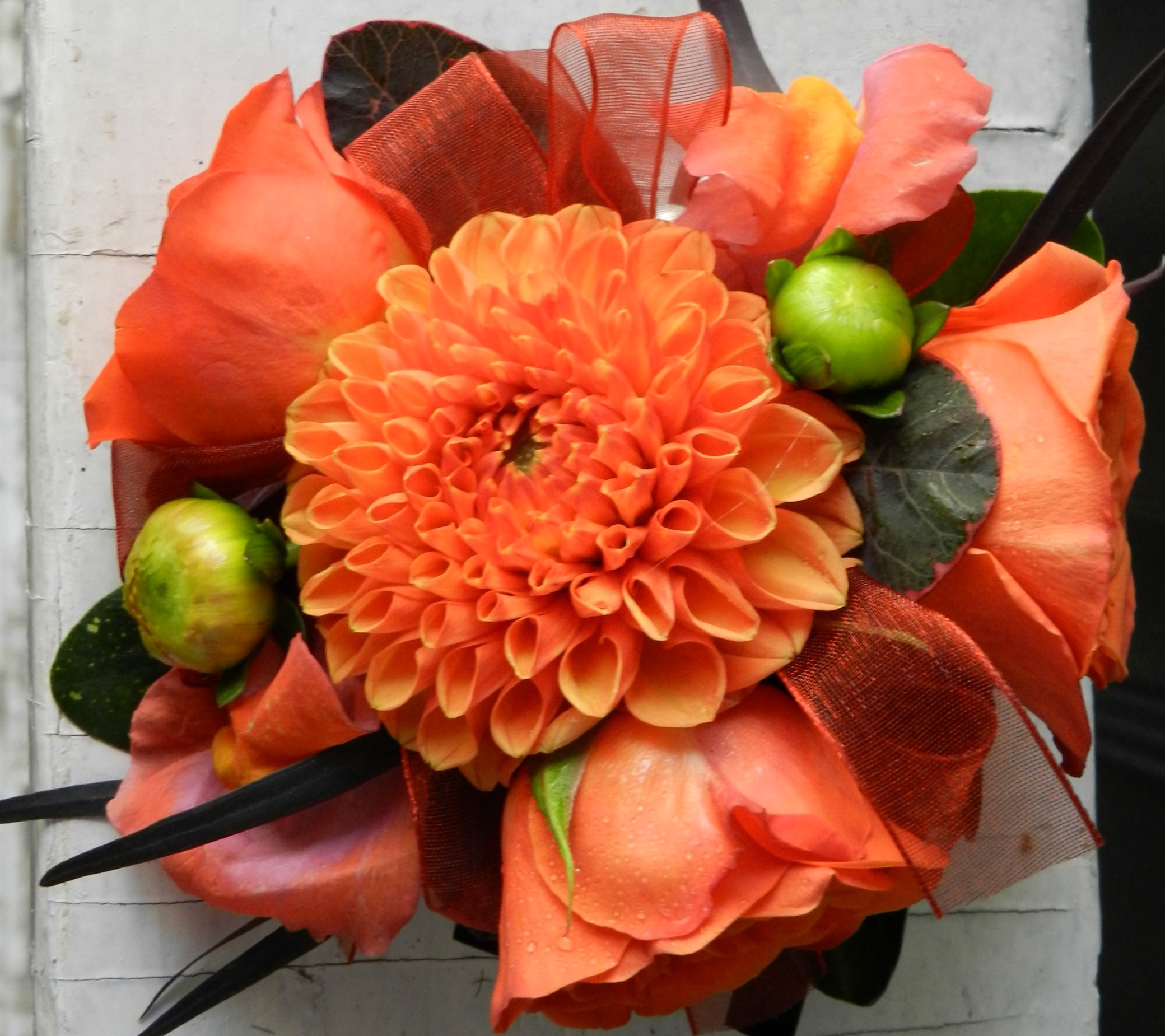 Orange Dahlia and Roses Boutonniere with Green Buds HD Wallpaper