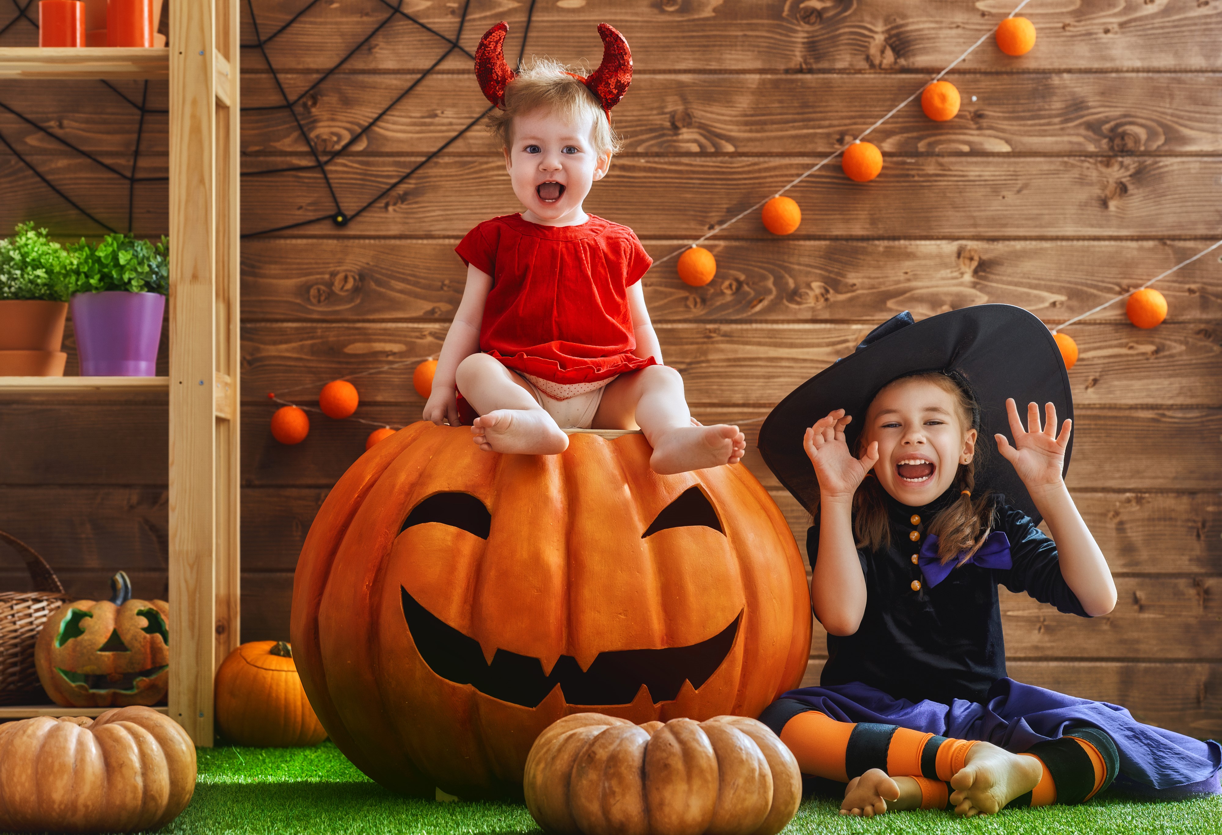 Two young girls in Halloween costumes with a pumpkin HD Wallpaper