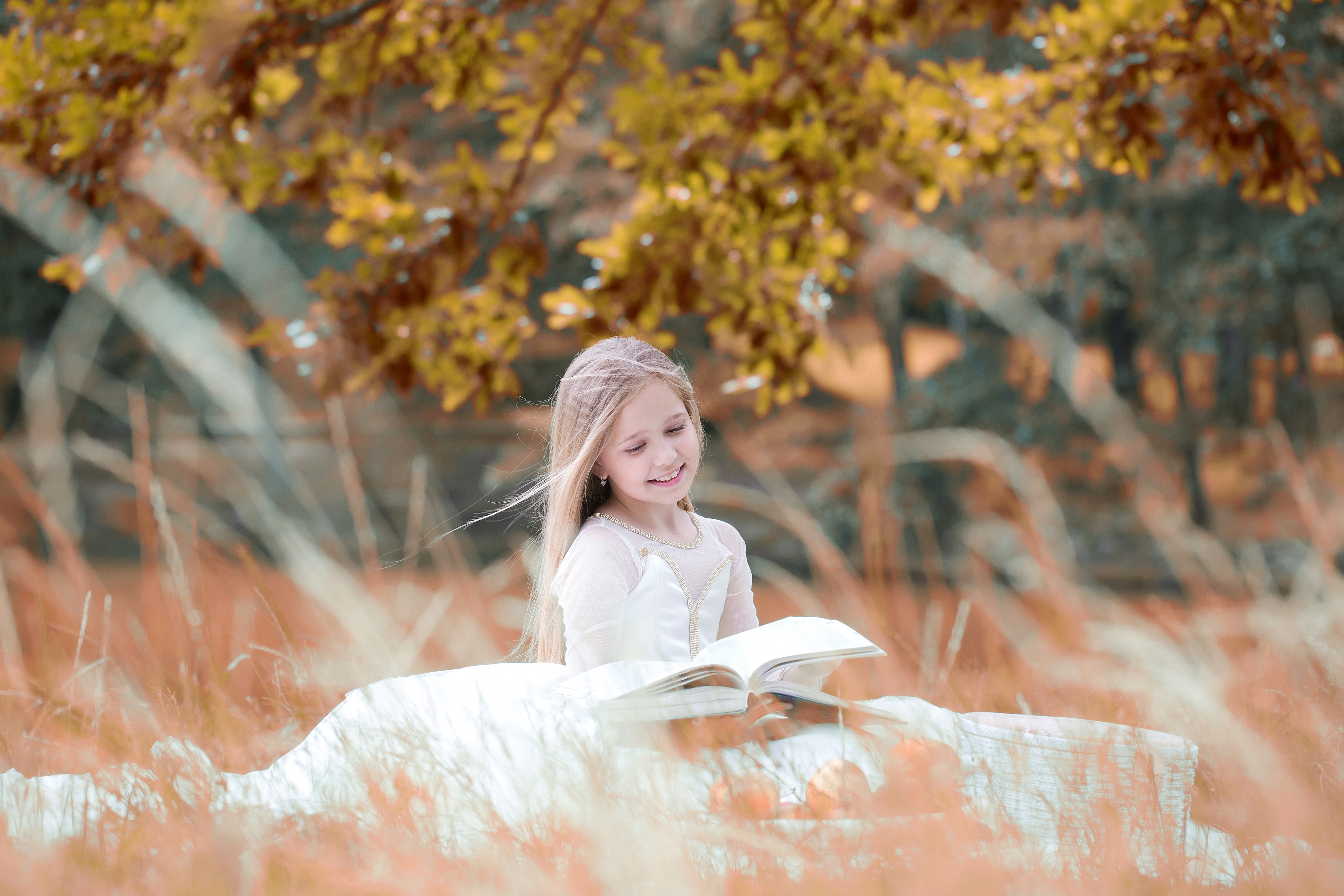 Little girl reading a book in autumn HD Wallpaper