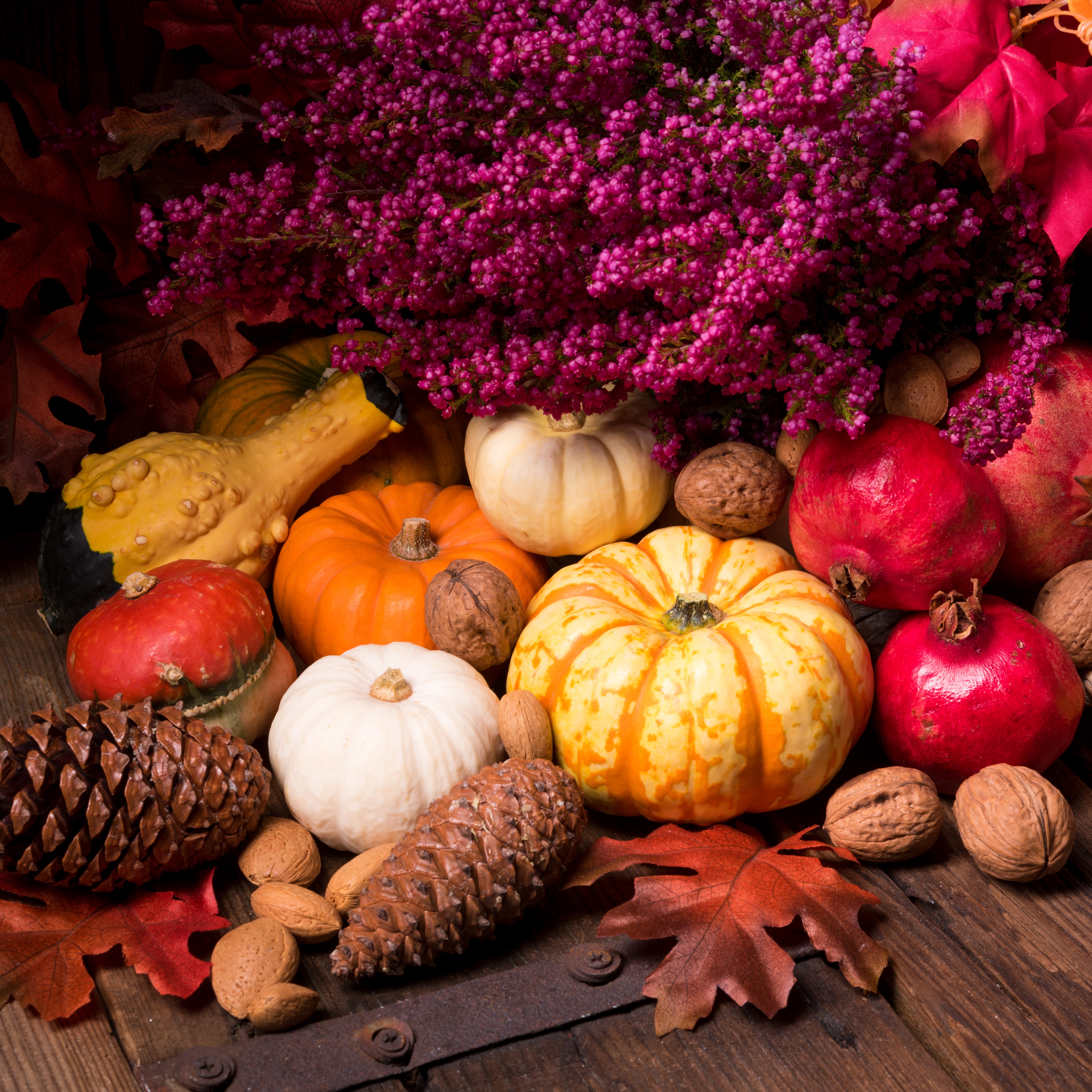Autumn Harvest Display with Pumpkins, Pomegranates, and Pine Cones HD Wallpaper