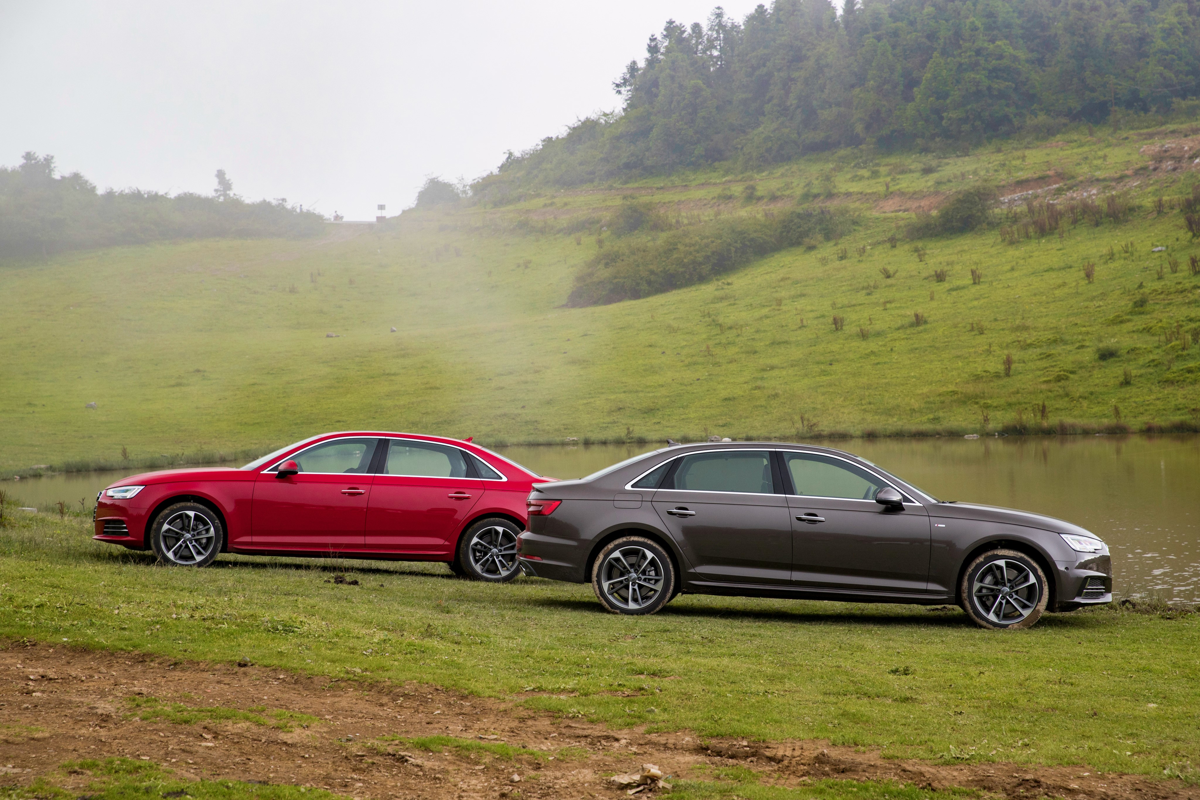 Two Audi A4 cars on grass near water HD Wallpaper