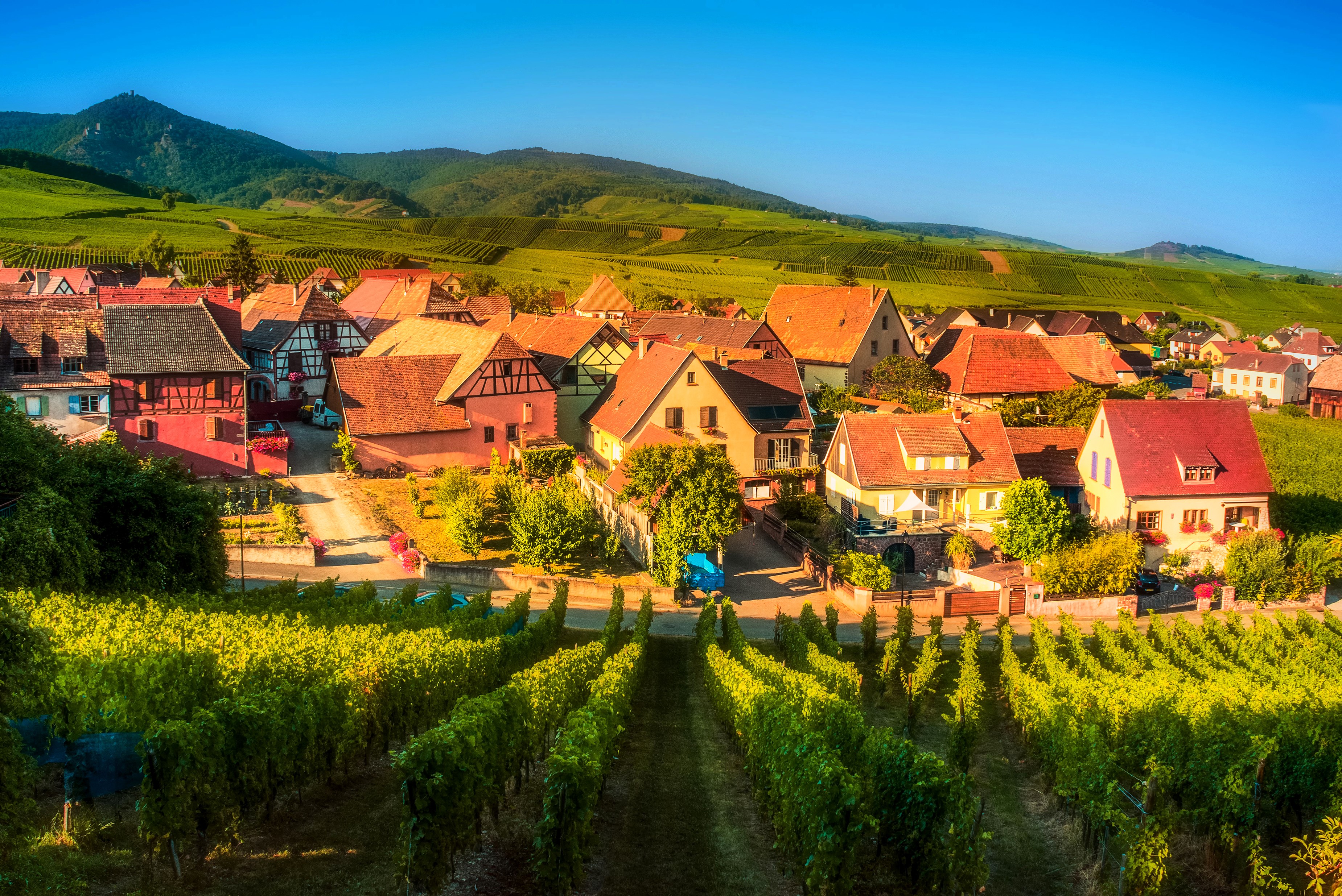 Hunawihr village with vineyards in Alsace, France HD Wallpaper