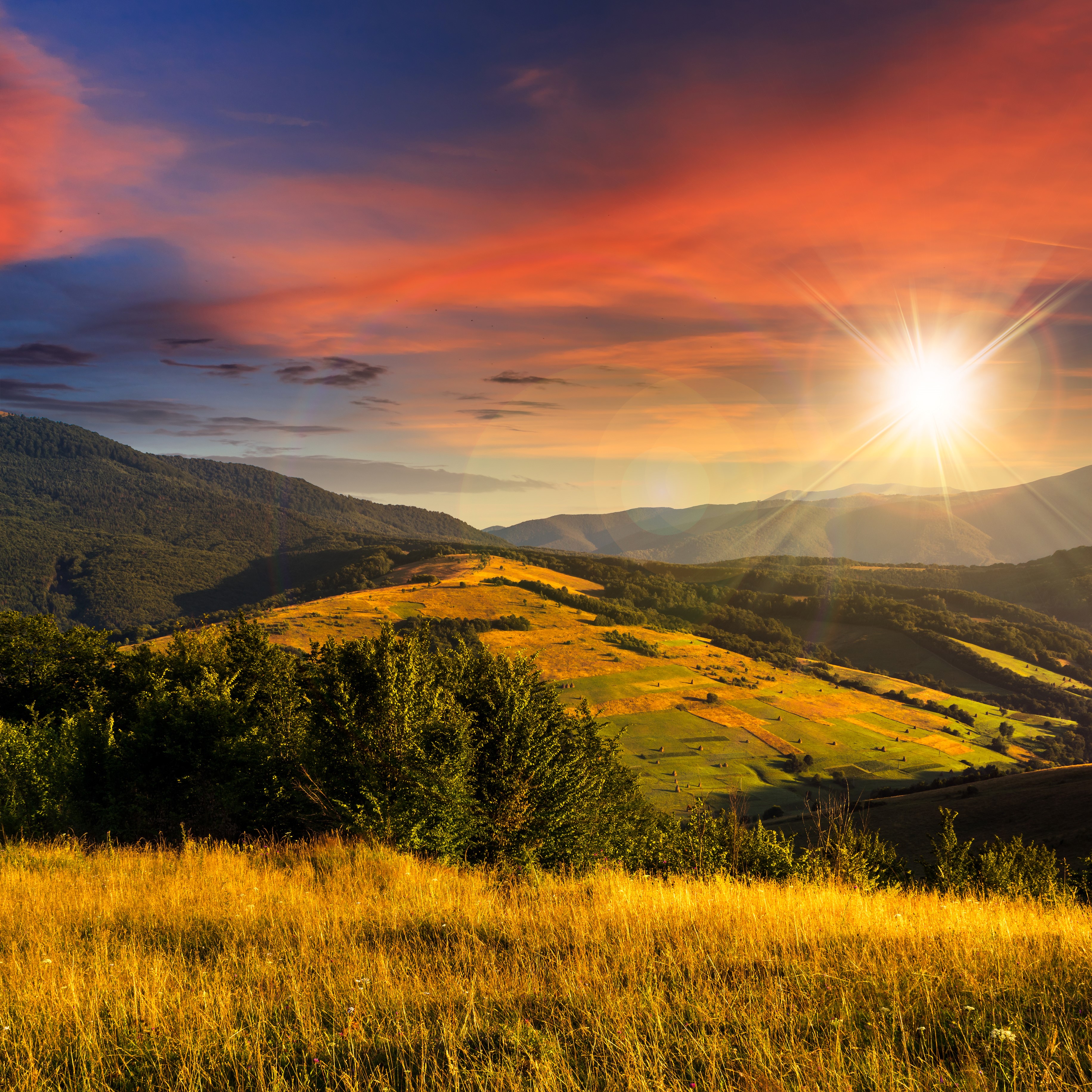 Sunset over rolling hills with golden fields HD Wallpaper