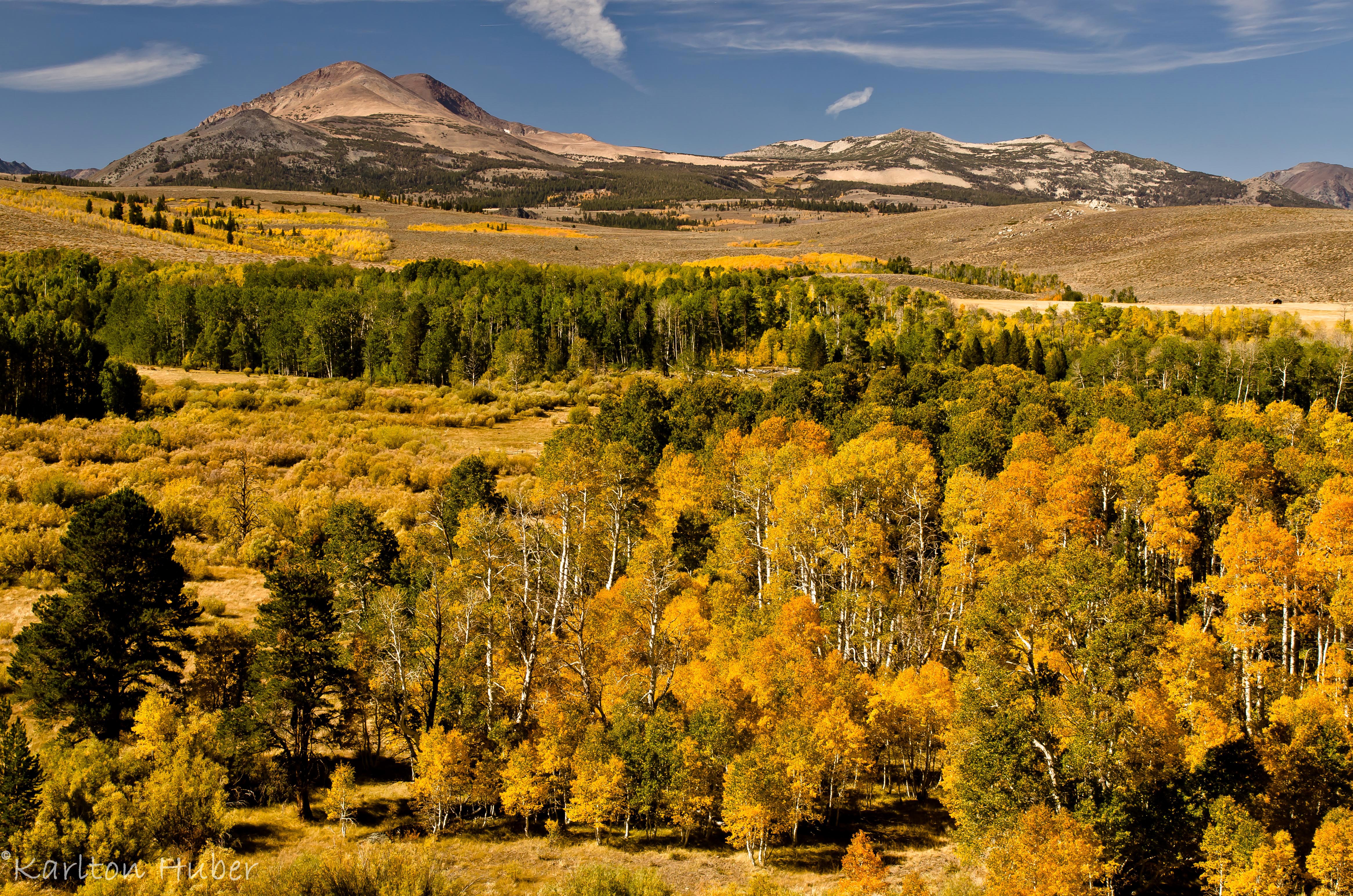 Autumn Mountains with Aspen Trees HD Wallpaper