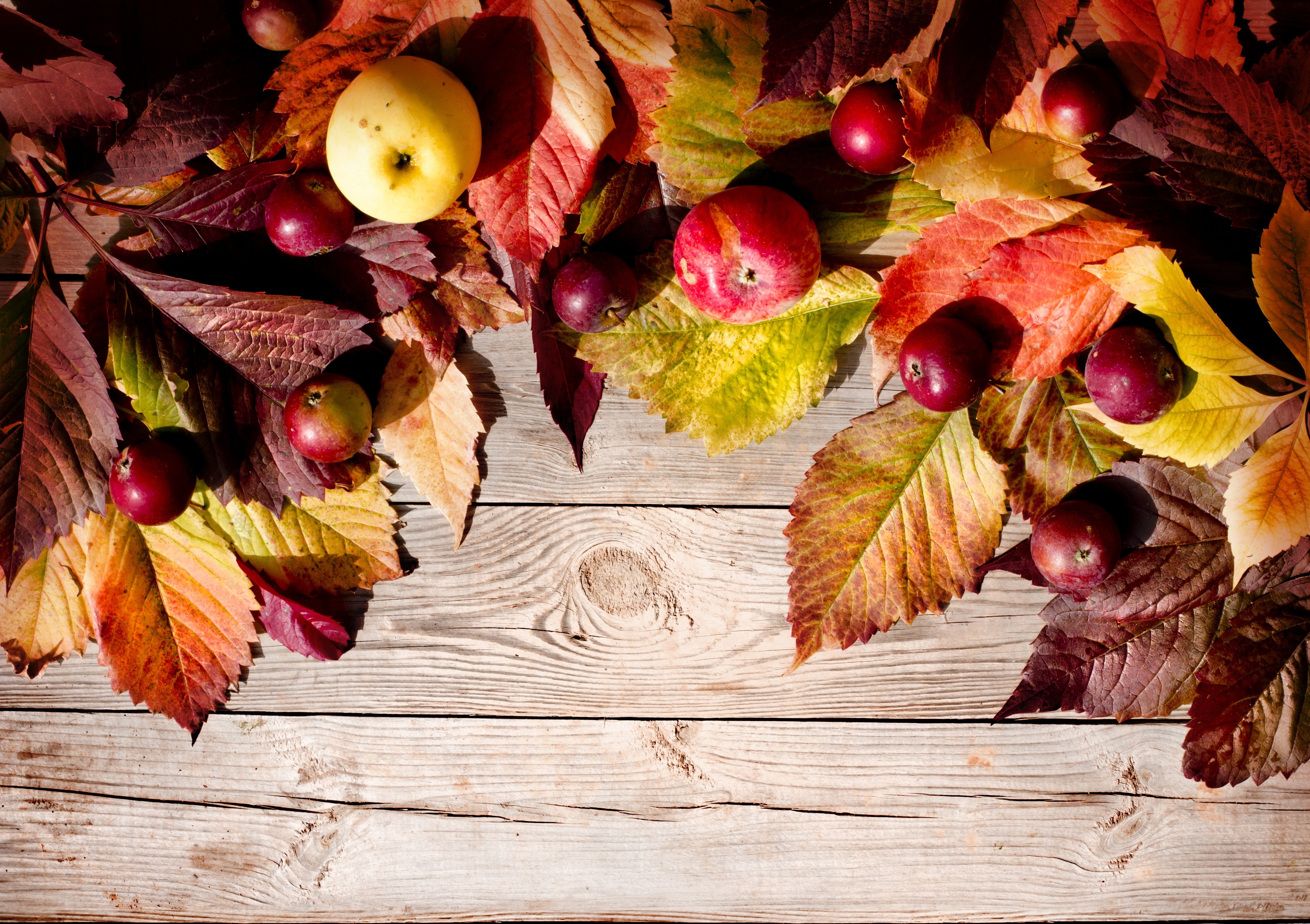 Autumn Apples and Leaves on Wood Planks HD Wallpaper