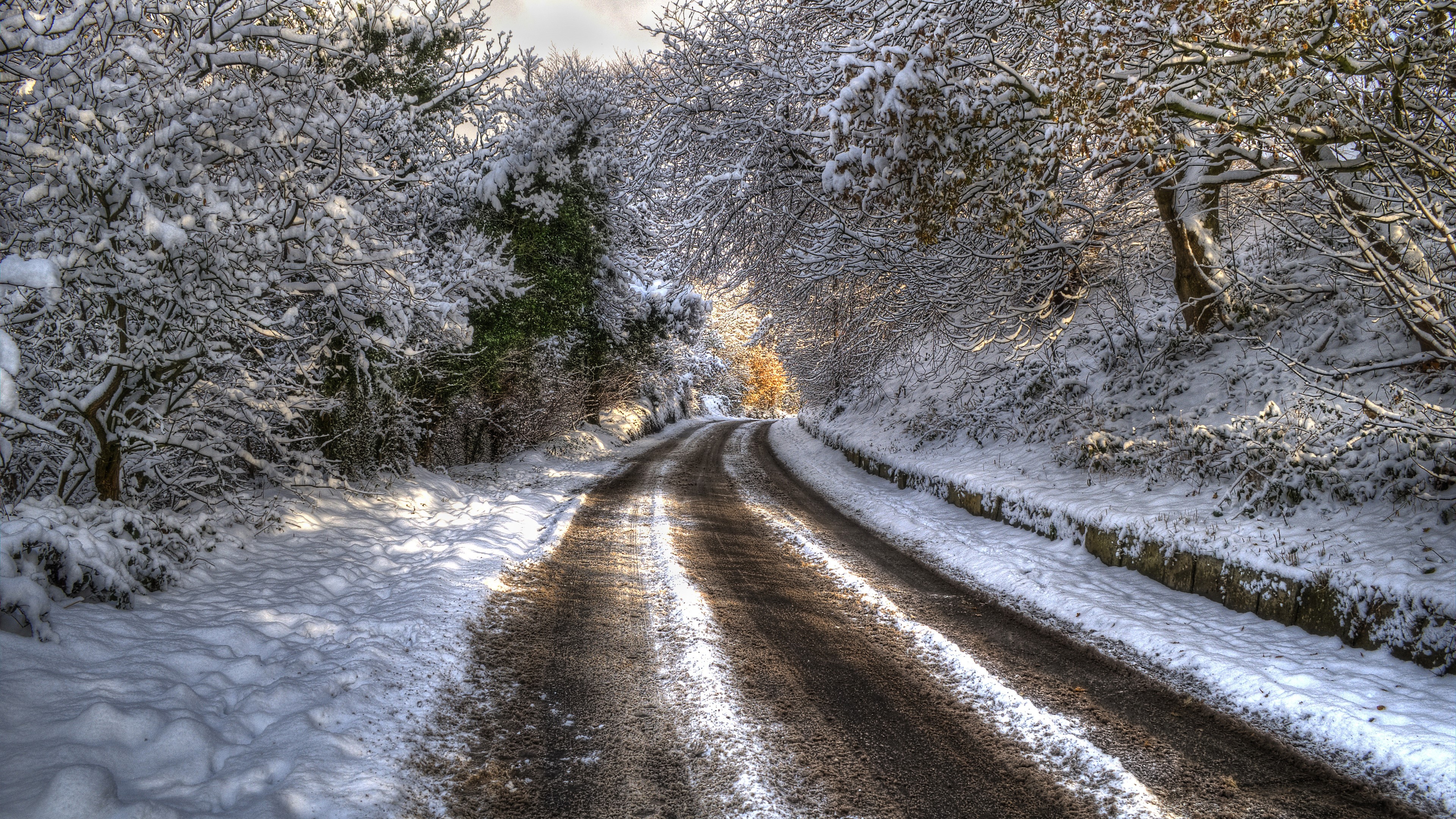 Winter Road Covered in Snow with Trees HD Wallpaper
