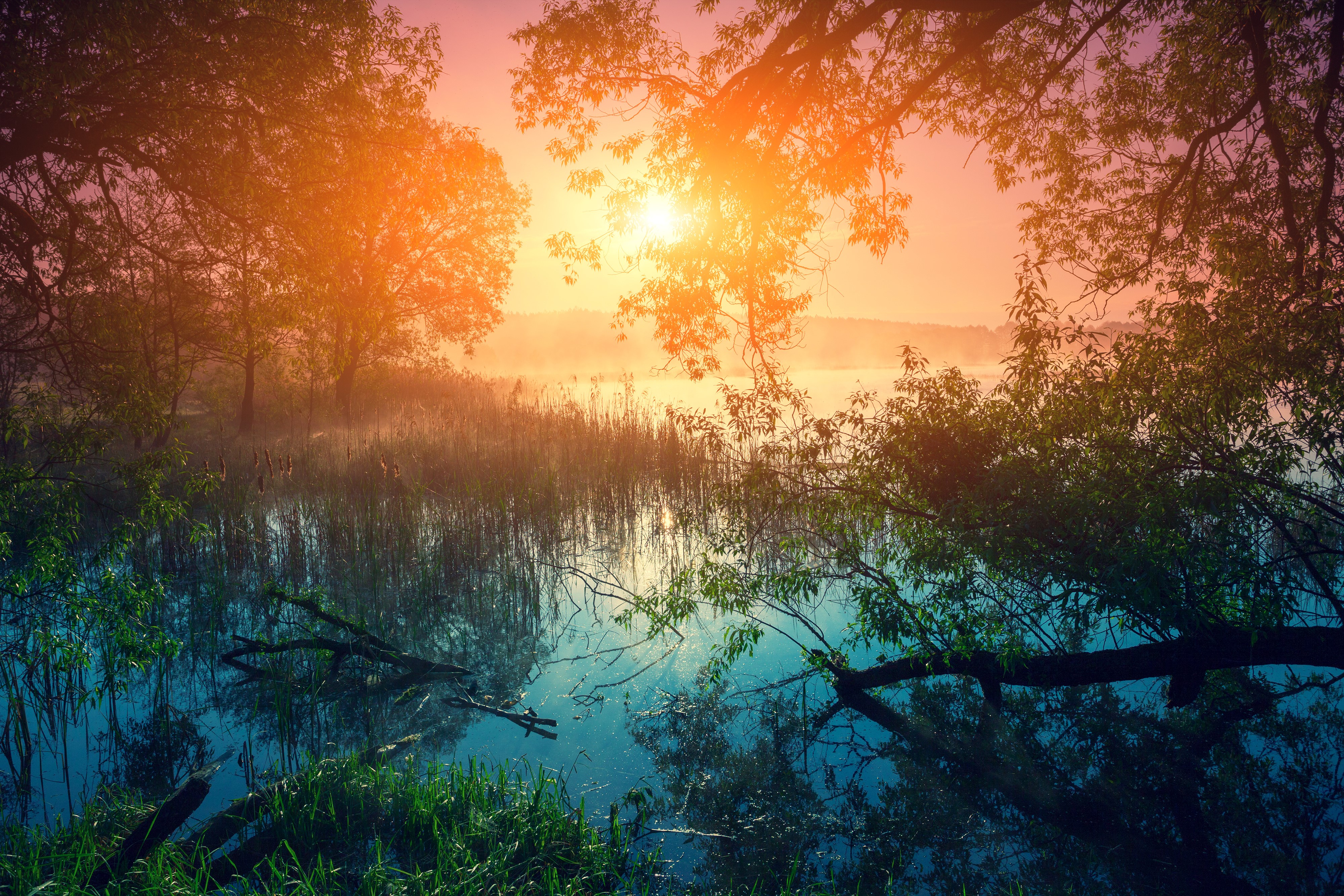 4K Sunrise over a Misty Lake with Trees HD Wallpaper