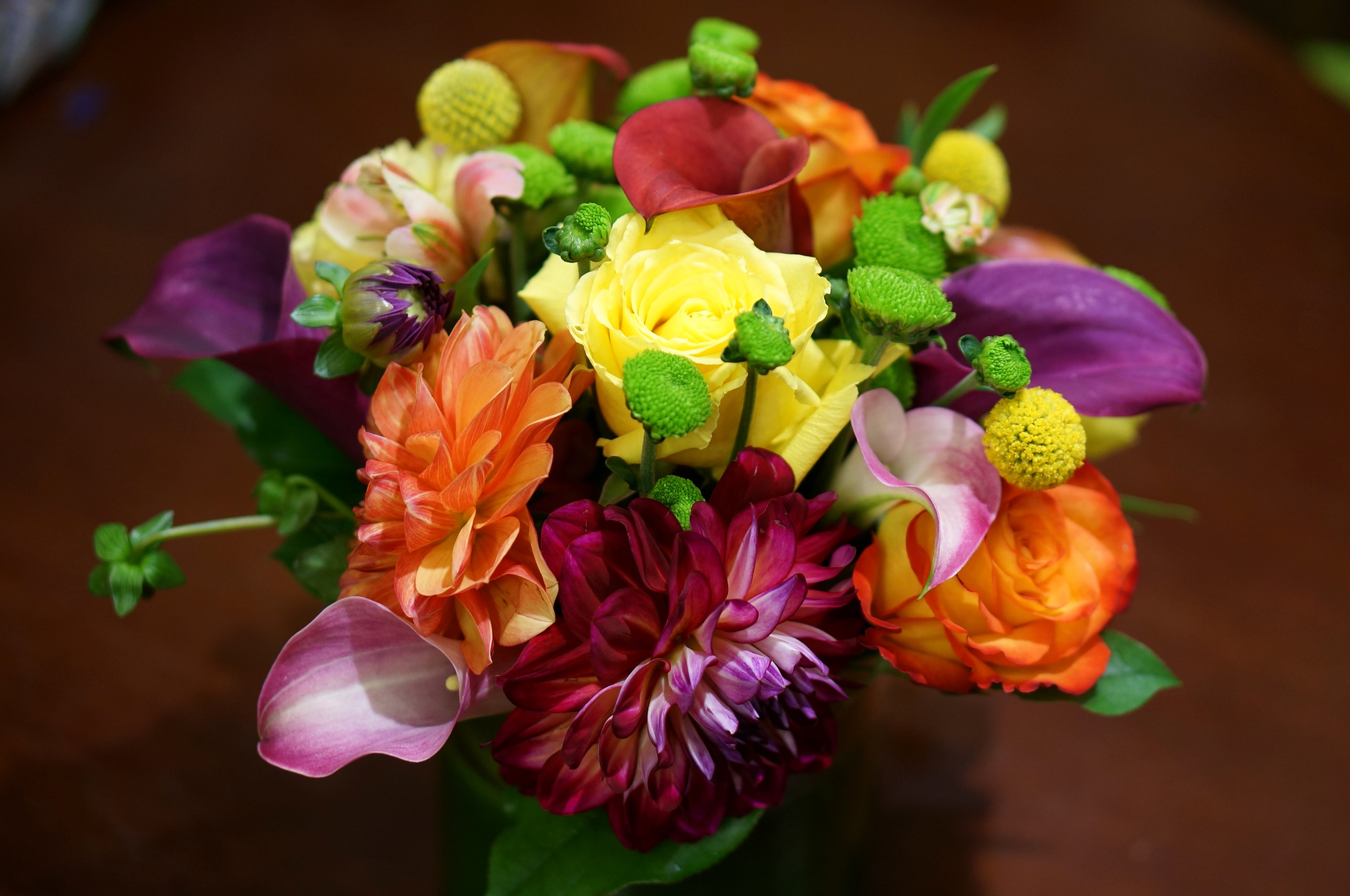 Colorful bouquet of dahlias, callas, and roses HD Wallpaper