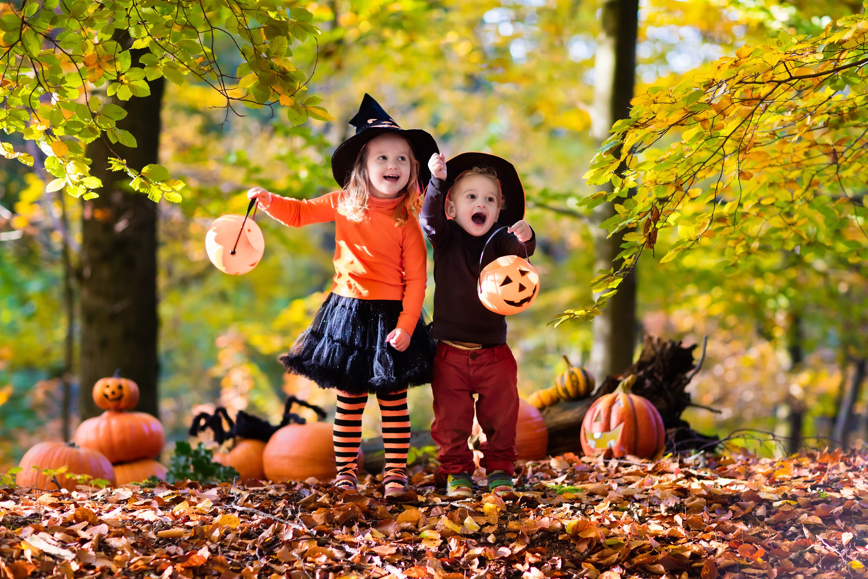 Children in Halloween costumes with pumpkins HD Wallpaper