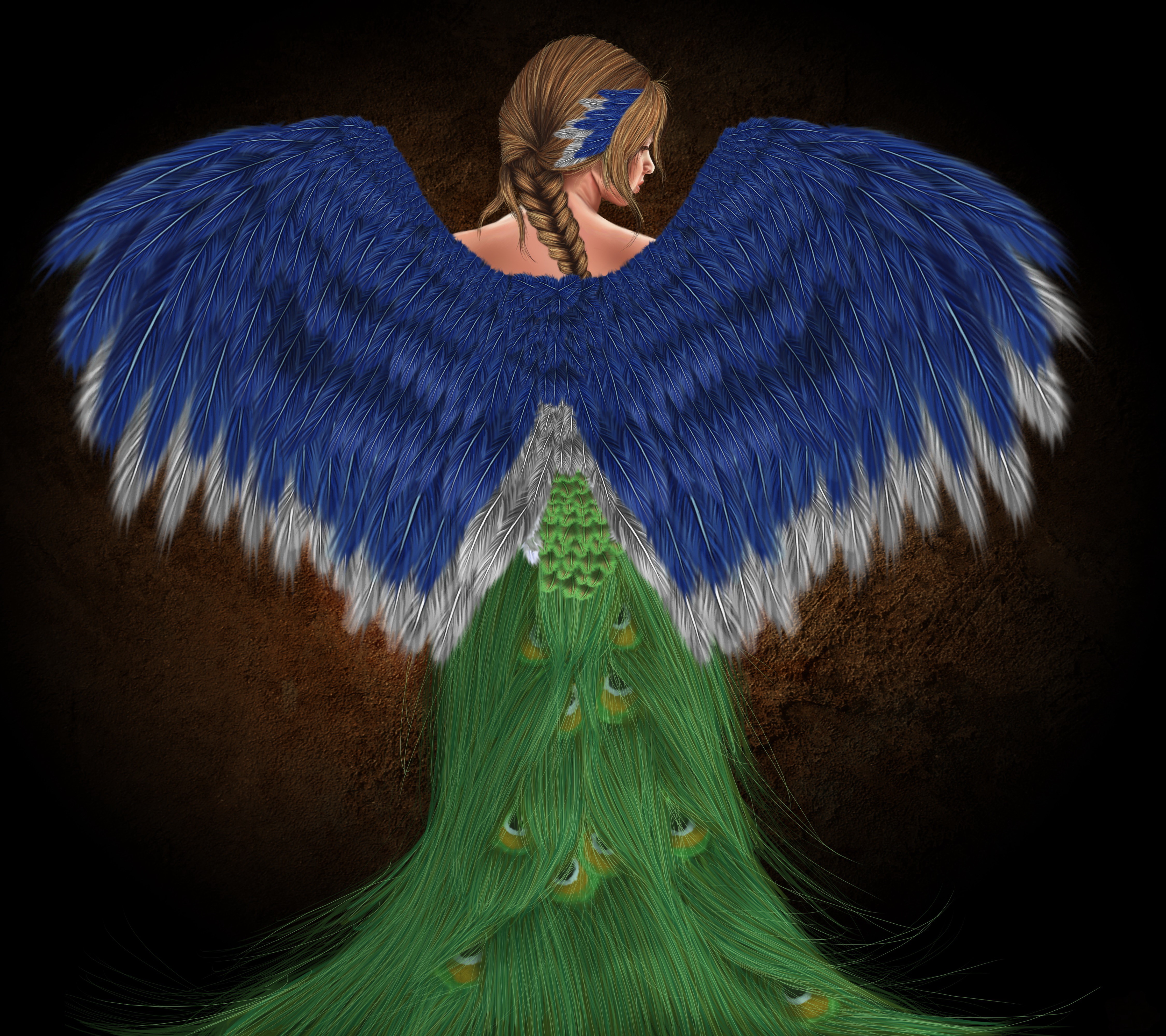 Woman with Peacock Wings and Braid Hair HD Wallpaper
