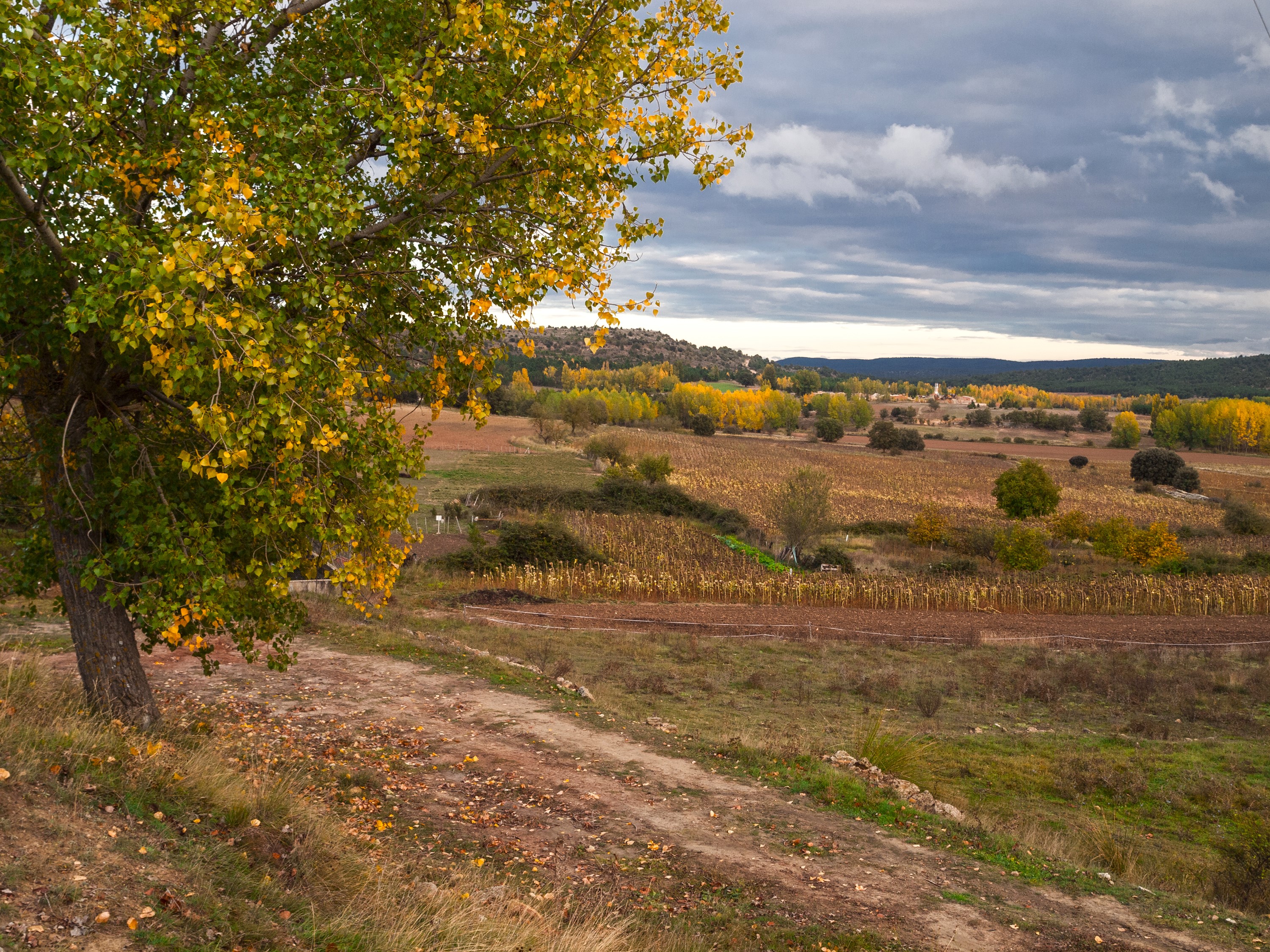 Autumn landscape in Castille la Mancha, Spain HD Wallpaper