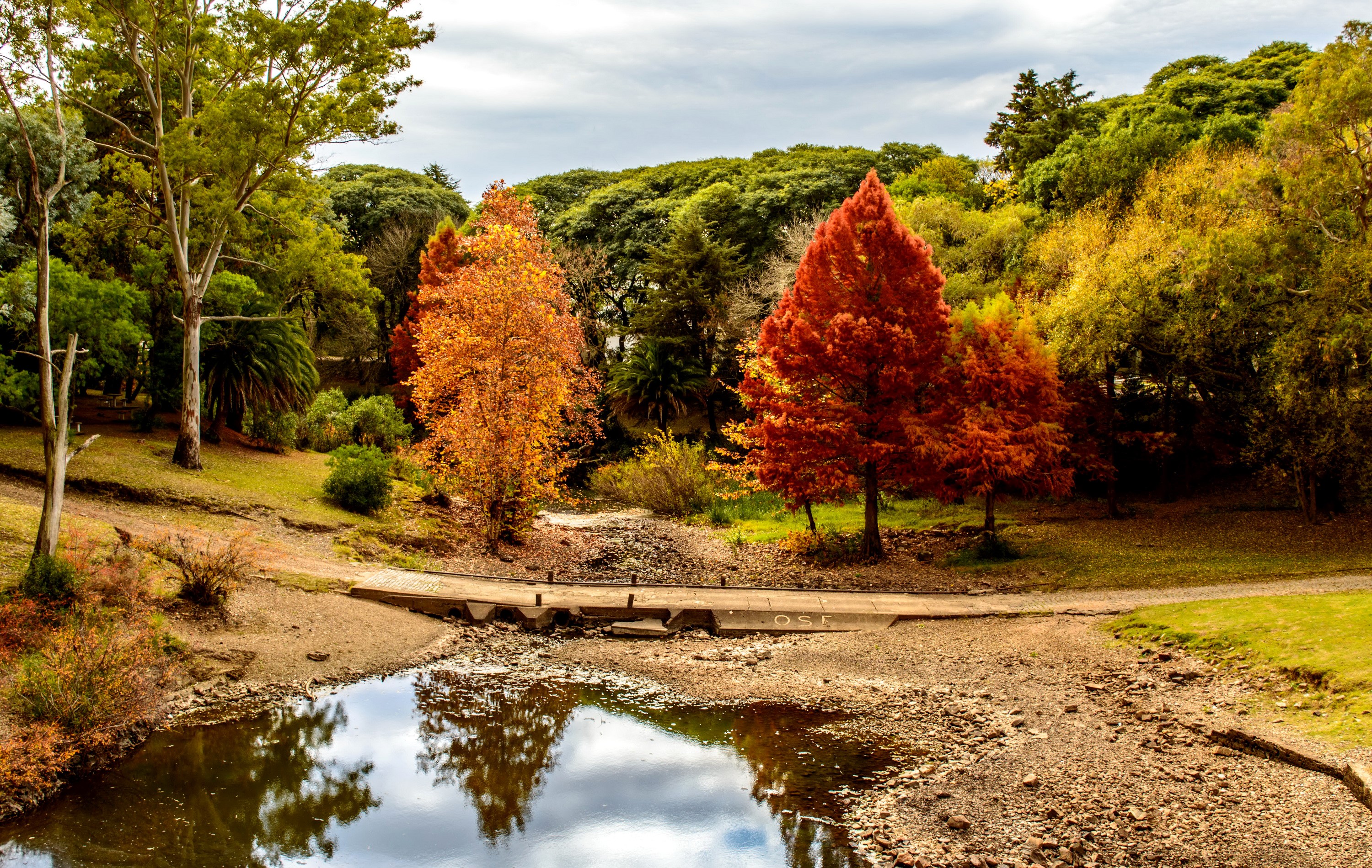 Autumn park with a bridge over a shallow river in Minas Lavalleja, Uruguay HD Wallpaper