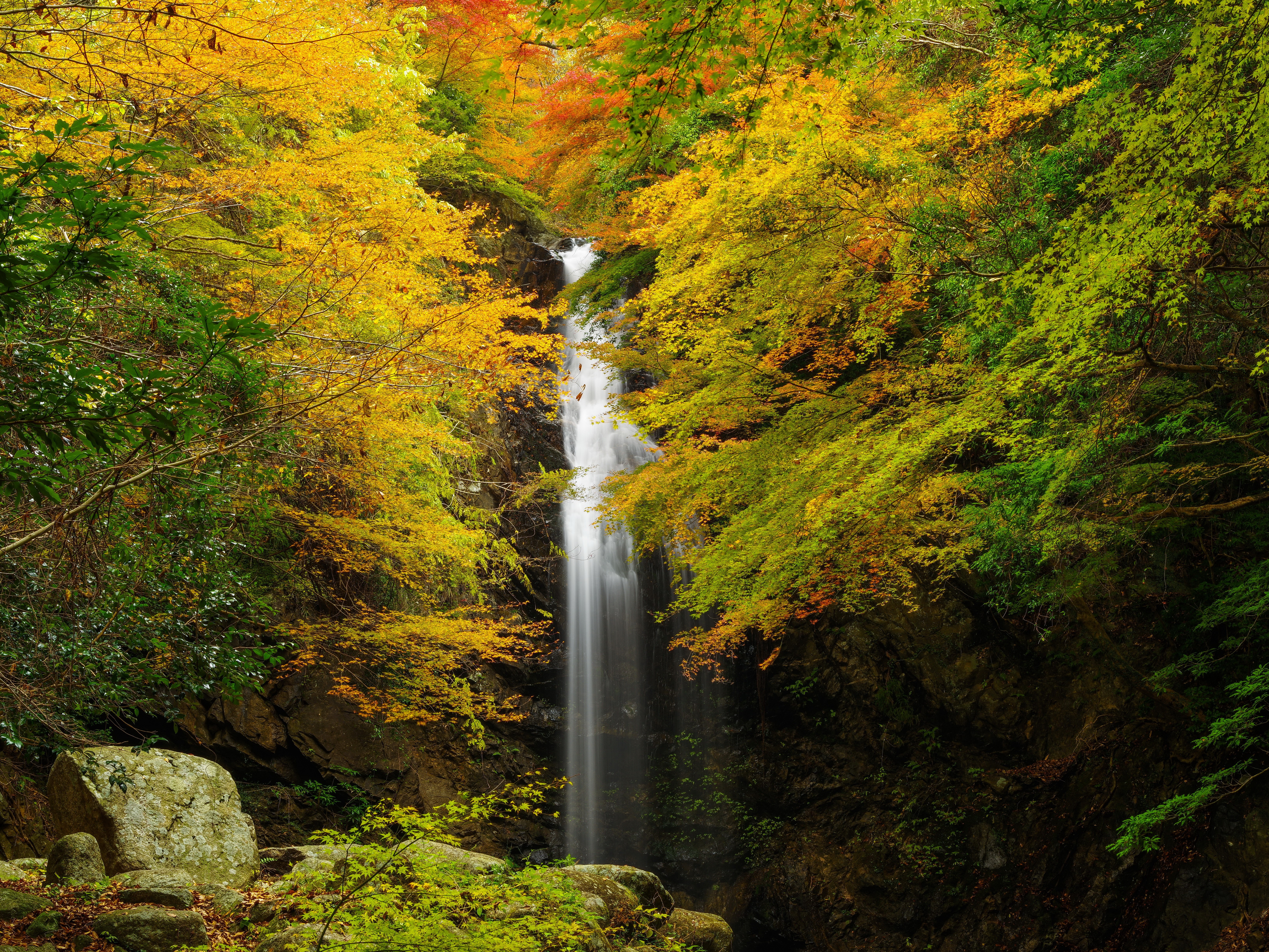 Autumn Waterfall in a Forest HD Wallpaper
