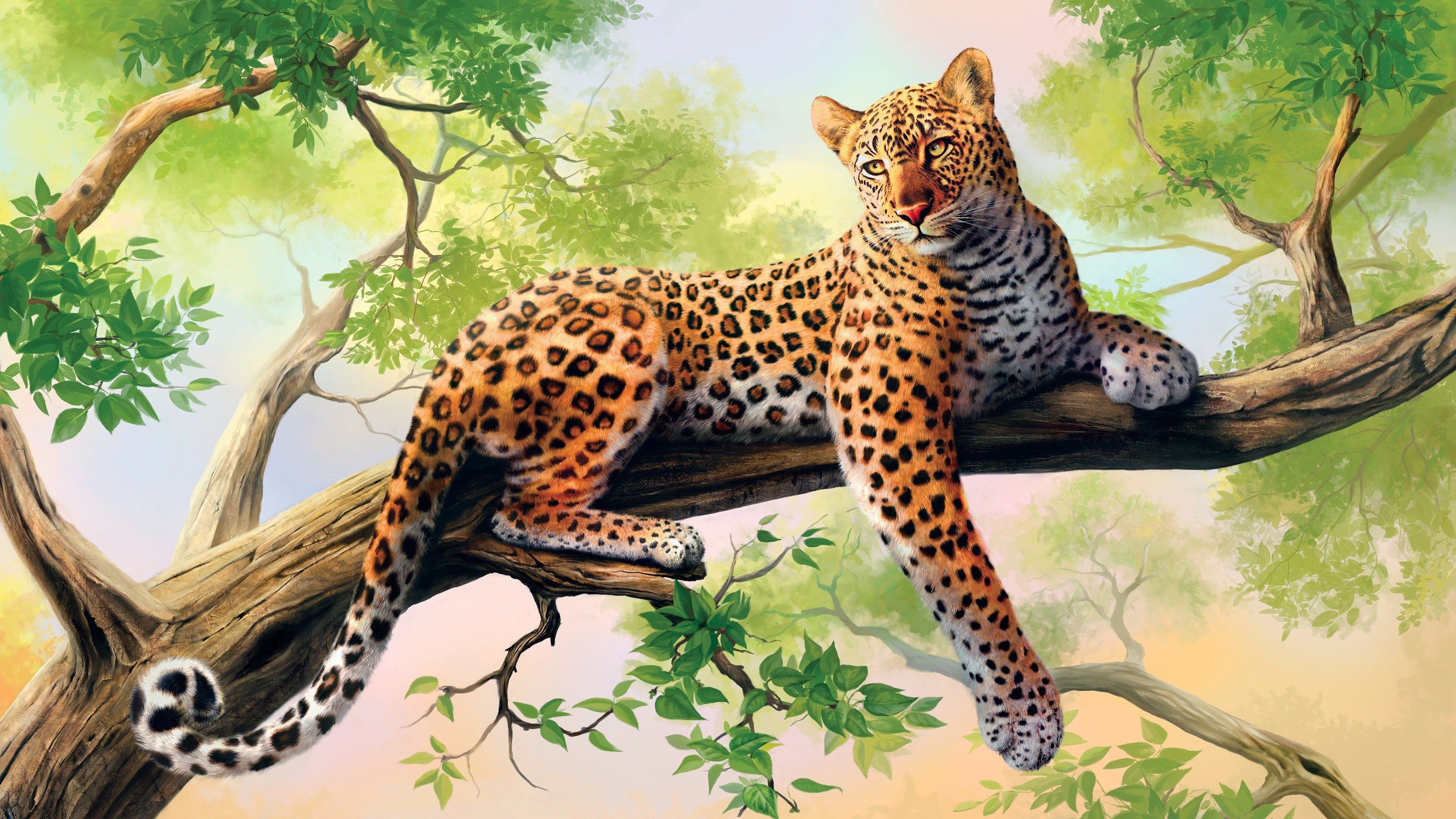 Leopard resting on a tree branch HD Wallpaper