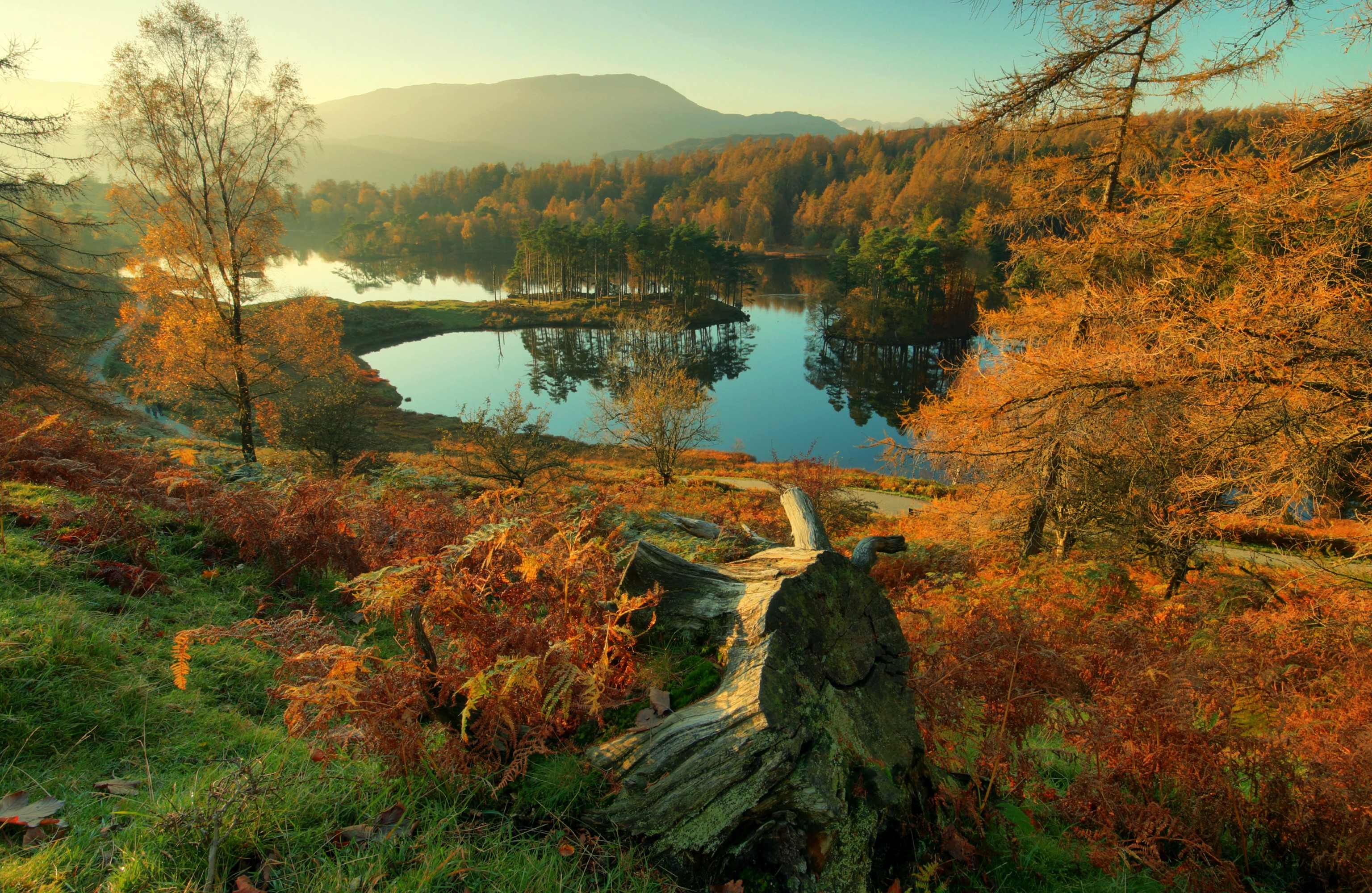 Autumn landscape with lake and trees in Cumbria, England HD Wallpaper