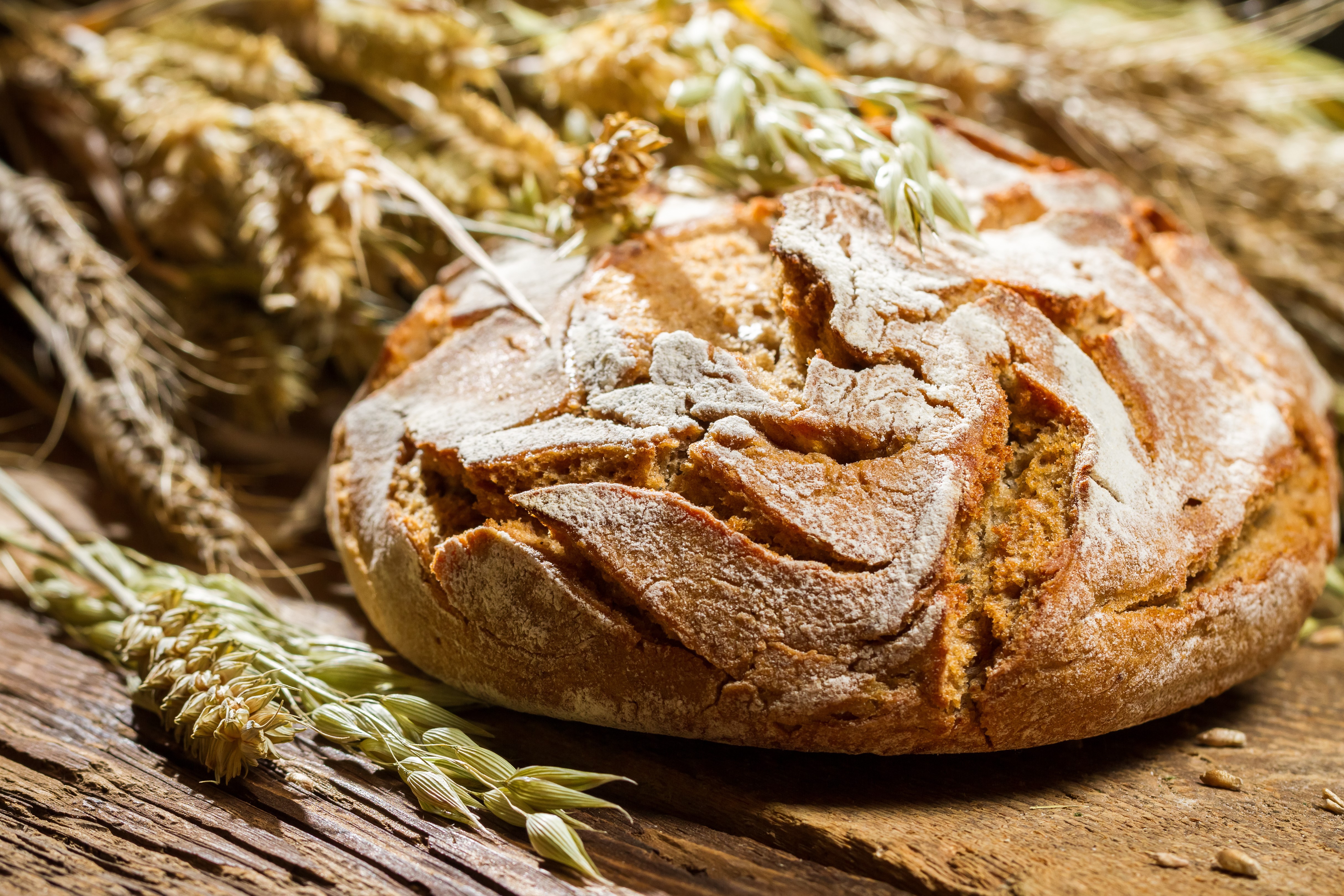 Bread and Wheat HD Wallpaper